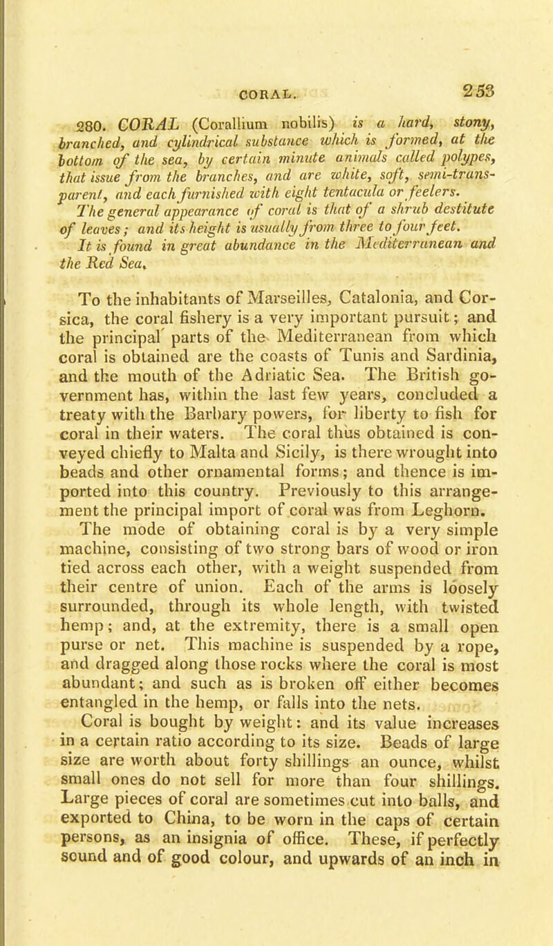 CORAL. 280. CORAL (Corallium nobilis) is a hard, stony, branched, and cylindrical substance which is formed, at tlie bottom of the sea, by certain minute animals called polypes, that issue from the branches, and are white, soft, semi-trans- parent, and each furnished with eight tentacula or feelers. The general appearance of coral is that of a shrub destitute of leaves; and its height is usually from three to four feet. It is found in great abundance in the Mediterranean and the Red Sea, To the inhabitants of Marseilles, Catalonia, and Cor- sica, the coral fishery is a very important pursuit; and the principal parts of the Mediterranean from which coral is obtained are the coasts of Tunis and Sardinia, and the mouth of the Adriatic Sea. The British go- vernment has, within the last few years, concluded a treaty with the Barbary powers, for liberty to fish for coral in their waters. The coral thus obtained is con- veyed chiefly to Malta and Sicily, is there wrought into beads and other ornamental forms; and thence is im- ported into this country. Previously to this arrange- ment the principal import of coral was from Leghorn. The mode of obtaining coral is by a very simple machine, consisting of two strong bars of wood or iron tied across each other, with a weight suspended from their centre of union. Each of the arms is loosely surrounded, through its whole length, with twisted hemp; and, at the extremity, there is a small open purse or net. This machine is suspended by a rope, and dragged along those rocks where the coral is most abundant; and such as is broken off either becomes entangled in the hemp, or falls into the nets. Coral is bought by weight: and its value increases in a certain ratio according to its size. Beads of large size are worth about forty shillings an ounce, whilst small ones do not sell for more than four shillings. Large pieces of coral are sometimes cut into balls, and exported to China, to be worn in the caps of certain persons, as an insignia of office. These, if perfectly sound and of good colour, and upwards of an inch in