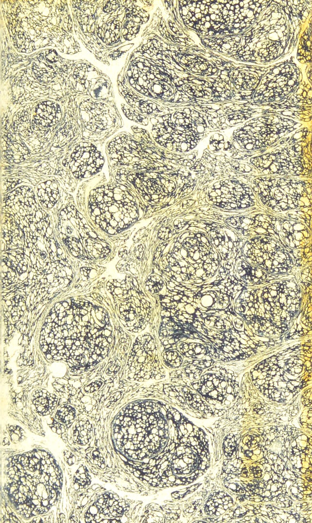 digitised image 3