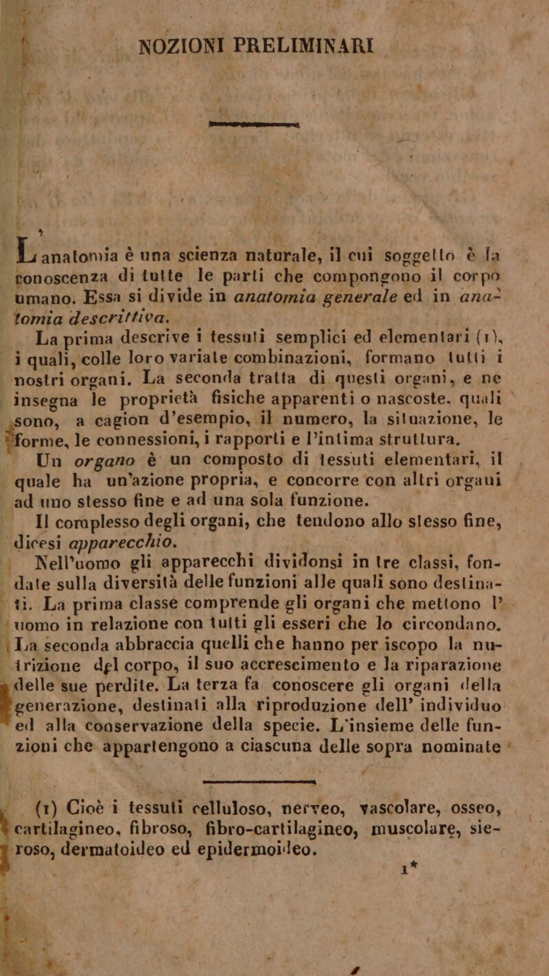 Î NOZIONI PRELIMINARI co 3 TEA è una scienza naturale, il cui soggetto è fa | tonoscenza di tutte le parti che compongono il corpo umano. Essa si divide in azatomia generale ed in ana? tomia descrittiva. La prima descrive i tessuti semplici ed elementari (1), i quali, colle loro variate combinazioni, formano tutti i nostri organi. La seconda tratta di questi organi, e ne insegna le proprietà fisiche apparenti o nascoste. quali ’ ono, a cagion d’esempio,.il numero, la situazione, le orme, le connessioni, i rapporti e l’intima struttura, Un organo è un composto di tessuti elementari, il quale ha un’azione propria, e concorre con altri organi ‘ad imo stesso finè e ad una sola funzione. x Il coraplesso degli organi, che tendono allo slesso fine, dicesi apparecchio. . Nell’uomo gli apparecchi dividonsi in tre classi, fon- date sulla diversità delle funzioni alle quali sono destina- | ti. La prima classe comprende gli organi che mettono 1’. “uomo in relazione con tulti gli esseri che lo circondano. La seconda abbraccia quelli che hanno per iscopo la nu- irizione del corpo, il suo accrescimento e la riparazione delle sue perdite. La terza fa. conoscere gli organi della Fecierttione, destinati alla riproduzione dell’ individuo eil alla conservazione della specie. L'insieme delle fun- zioni che appartengono a ciascuna delle sopra nominate « (1) Cioè i tessuti celluloso, nerveo, vascolare, osseo, î cartilagineo, fibroso, fibro-cartilagineo, muscolare, sie- ‘roso, dermatoideo ed epidermoileo. K