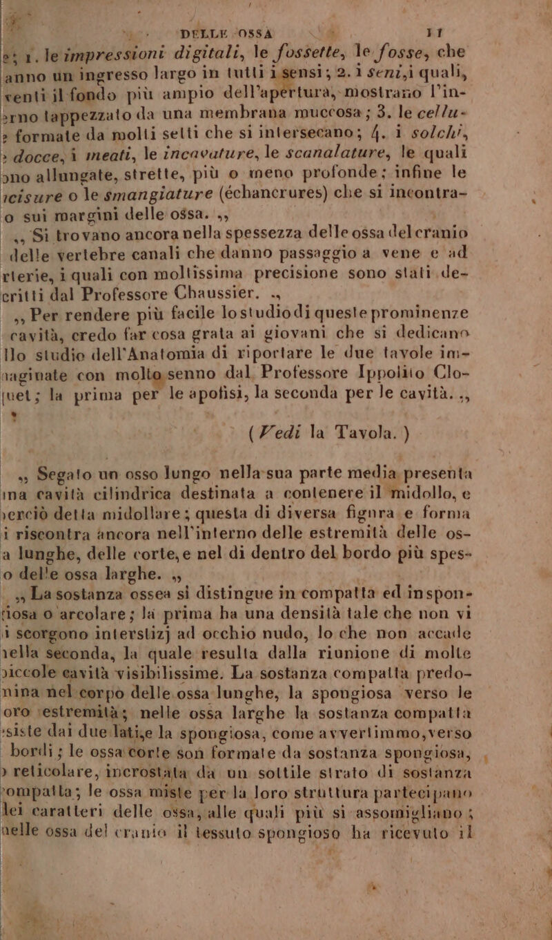 fr fa * Ng? DELLE ‘O8SSÀ E ri et 1. le impressioni digitali, le fossette, le fosse, che anno un ingresso largo in tutti i,sensi; 2.1 se727,i quali, senti il fondo più ampio dell’aperturàa, mostrano l’in- »rno lappezzato da una membrana muccosa ; 3. le cella» » formate da molti selti che si intersecano; 4. i solch', » docce, î meati, le incavature, le scanalature, le quali ano allungate, strette, più o meno profonde; infine le rcisure 0 le snangiature (échancrures) che si incontra- o sui margini delle ossa. ., i -44/Sì trovano ancora nella spessezza delle ossa delcranio delle vertebre canali che danno passaggio a vene e ad rierie, i quali con moltissima precisione sono stati, de- critti dal Professore Chaussier. ., ss Per rendere più facile lostudiodi queste prominenze cavità, credo far cosa grata ai giovani che si dedicano Illo studio dell'Anatomia di riportare le due tavole im- naginate con molto;senno dal, Professore Ippolito Clo- juet; la prima per le apofisi, la seconda per le cavità. ,, . n (Zedi la Tavola. ) O i | + Segato un osso lungo nella-sua parte media, presenta ina cavità cilindrica destinata a contenere il midollo, e verciò detta midollare; questa di diversa fignra e forma i riseontra ancora nell'interno delle estremità delle os- a lunghe, delle corte, e nel di dentro del bordo più spes- o del'e ossa larghe. ,, ya sostanza ossea si distingue in compatta ed inspon- iosa 0 arcolare; la prima ha una densità tale che non vi i scorgono interstiz) ad occhio nudo, lo che non accade rella seconda, la quale resulta dalla riunione di molte piccole cavità visibilissime. La sostanza compatta predo- nina nel corpò delle. ossa lunghe, la spongiosa verso le oro ;estremità; nelle ossa larghe la sostanza compatta ssiste dai due-lati,e la spongiosa, come avverlimmo,verso | bordi ; le ossa corte son formate da sostanza spongiosa, &gt; reticolare, incrostata da un sottile strato di sostanza rompatta; le ossa miste perla loro struttura partecipano lei caratteri delle ossazalle quali più si assomigliano ; nelle ossa del cranio il tessuto spongioso ha ricevuto il v | i | i | | - | n