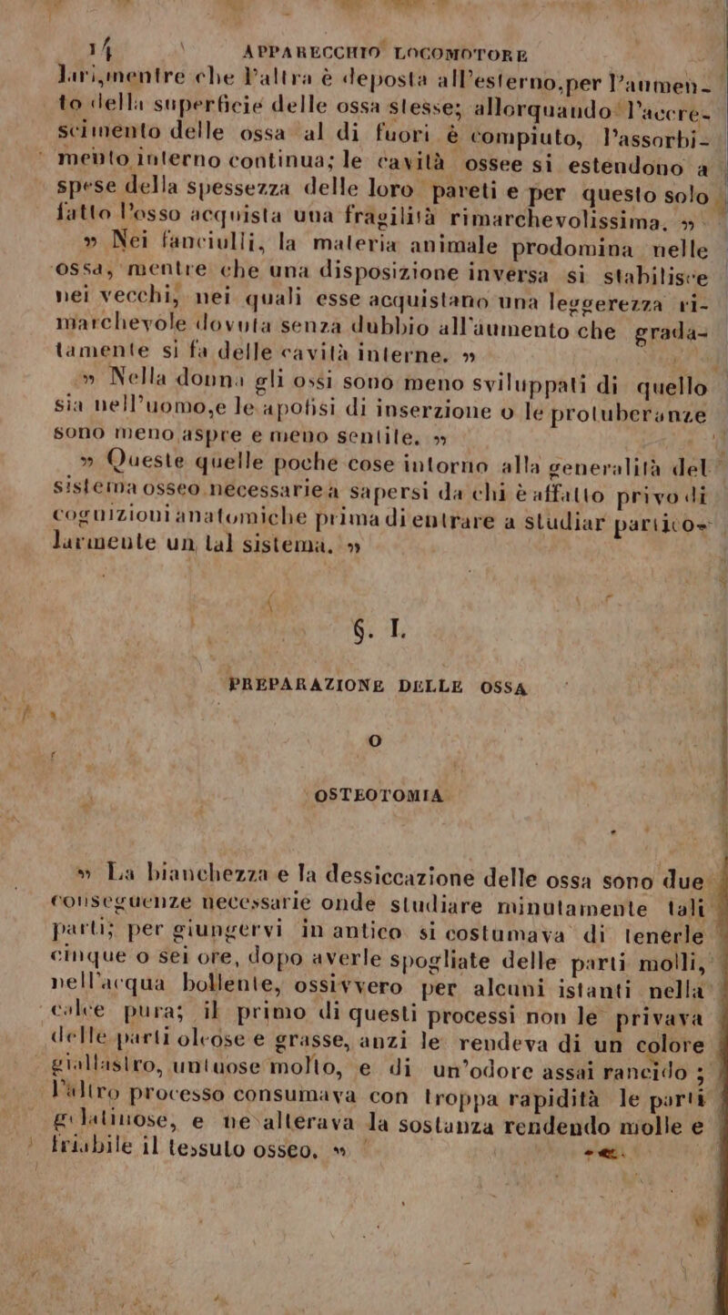 VP Nel Mu e 14 APPARECCHIO LOCOMOTORE Juri, mentre che Paltra è deposta all’esterno,per l’anmen- to della superficie delle ossa stesse; allorquando: l’accre- scimento delle ossa al di fuori è compiuto, l’assorbi- meito interno continua; le cavità ossee si estendono a spese della spessezza delle loro pareti e per questo solo » Nei fanciulli, la materia animale prodomina nelle ‘ssa, mentre che una disposizione inversa si stabilisce nei vecchi, nei quali esse acquistano una leggerezza ri- marchevole dovuta senza dubbio all'aumento che grada- tamente sj fa delle cavità interne, » pl el N »]l; d lì y . ki ril . di Il » Nea donna gli ossi sono meno sviluppati di quello sia nell’uomo,e le. apotisi di inserzione è le proluberyunze » Queste quelle poche cose intorno alla generalità del sistema osseo necessarie a sapersi da chi è affatto privo di larmente un Lal sistema.» si 6. IL PREPARAZIONE DELLE OSSA (0) OSTEOTOMIA. » » La bianchezza e Ta dessiccazione delle ossa sono due: parti; per giungervi in antico. si costumava di tenérle cinque o sei ore, dopo averle spogliate delle parti molli, nell'acqua bollente, ossivvero per alcuni istanti nella cale pura; il primo di questi processi non le privava giallastro, untuose molto, e di un’odore assai rancido E l’altro processo consumava con troppa rapidità le parti ! friabile il tessulo osseo, » “ei