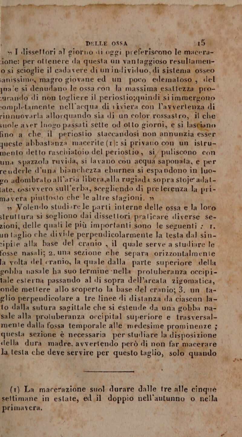 —” 4 | DELLE OSSA... &gt; 154 » I dissettori al giorno «di oggi preferiscono le macera- “ione: per ottenere da questa an vantaggioso resultamen- o si scioglie il cadavere di unindividuo, di sistema osseo ianissime, magro giovane ed un poco elematoso , «del qnaie si denudano le ossa con la massima esattezza pro- surando di non togliere il periostio;quindi si immergono completamente nell'acqua di riviera con l’ayvertenza di rinnuovarla allorquando sia di un color rossastro, il che suole aver luogo passati sette od otto giorni, e sì lastiano ino a che il periostio staccandosi non annunzia esser queste abbastanza macerite (1): si privano con un istru- mento «detto rasciiatoio del periostio, si, puliscono con una spazzola ruvida, si lavano con acqua saponata, e per revderle d'una bianchezza eburnea si espandono in luo- vo adombrato all'aria libera,alla rugiada sopra stoje' adat- late, ossivvero sull’erba, scegliendo di preferenza la pri- mavera piuttosto che le altre stagioni. ” &gt; Volendo studiare Je parti interne delle ossa e la loro struttura si sogliono dai dissetlori pralicare diverse se- zioni, delle quali le più importanti sono le seguenti ; 1. up taglio che divide perpendicolarmente la testa dal sin- sipiie alla base del cranio , il quale serve a studiare te fosse nasali; 2. una sezione che separa orizzontalmente la volta «lel cranio, la quale dalla parte superiore della gobba nasale ha suo termine ‘nella proluberanza occipi- tale esterna passando al di sopra dell’arcata zigomatica, onde mettere allo scoperto la base del cranio; 3. un .ta- glio perpendicolare a tre linee di distanza da ciascan la- to dalla sutura sagittale che si estende da una gobba na- sale alla protuberanza occipital superiore e trasversal- mente dalla fossa temporale alle medesime prominenze ; questa sezione è necessaria per studiare la disposizione «lella dura madre, avvertendo però di non far macerare la testa che deve servire per questo taglio, solo quando } (1) La macerazione suol durare dalle tre alle cinqué seltimane in estate, ed .il doppio nell'autunno o nella primavera. du»