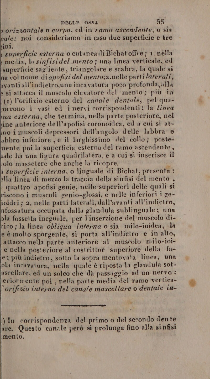 roriszontale o corpo, ed'in ramo ascendente, o sìa cale: noi consideriamo in esso due superficie e tre rini. | superficie esterna o cutanea di Bichat offre; 1. nella : media, la sirzfisidel mento ; una linea verticale, ed superficie saglievte, triangolare e scabra, la quale si na col none di apofisi del mento;2.nelle parti laterali, vanti all’indietro.una incavatura poco profonda, alla » si attacca il muscolo elevatore del mento; più in (1) Vorifizio esterno del canale dentale, pel qua- sorrono i vasi ed i nervi corrispondenti; la Zizea ima esterna, che termina, nella parte posteriore, nel sine anteriore dell’apofisi coronoidea, ed a cui si at- ino i muscoli depressori dell'angolo delle labbra e abbro inferiore , è il larghissimo «del collo; poste- nente poi la superficie esterna del ramo ascendente, tale ha una figura quadrilatera, e a cui si inserisce il ‘olo massetere che anche la ricopre. ù ‘ superficie interna, o liuguale di Bichat, presenta : &gt;lla linea di mezzo la traccia della sinfisi del mento , quattro apofisi genie, nelle superiori delle quali si riscono i muscoli genio-glossi, e nelle inferiori i ge- ioidei; 2. nelle parti laterali, dall’avanti all’indietro, Infossatura occupata dalla glandula sublinguale; una ola fossetta ineguale, per l'inserzione del muscolo di- rico 5 la linea obligua interna o sia milo-ioidea, la ie è molto sporgente, si porta all’indietro e in alto, | attacco nella parte anteriore al muscolo milo-ioi- | e nella posteriore al costrittor superiore della fa- e; più indietro, sotto la sopra mentova'a linea, una ola incavatura, nella quale è riposta la glandula sot- ‘ascellare, ed un solco che dà passaggio ad un nervo : \eriormente poi , nella parte media del ramo vertica- ’orifizio interno del canale mascellare o dentale in- lite Certi |) In corrispondenza del primo o del secondo den te are. Questo canale però s prolunga fino alla sinfisi