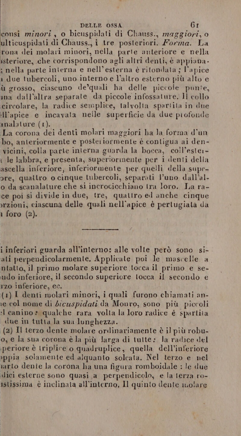 consi minori , 0 bicuspidati di Chauss., maggiori, o ulticuspidati di Chauss., i tre posteriori. Forma. La rona dei molari mivori, nella parte anteriore e nella isteriore, che corrispondono agli altri denti, è appiana- ; nella parte interna e nell’esterna è ritonidata ; l'apice 1 due tubercoli, uno interno e l’altro esterno più alto e ù grosso, ciascuno de’quali ha delle piccole punte, ina dall’allra separate da piccole infossature. Il collo circolare, la radice semplice, talvolta spartita in due ll’apice e incavata neile superficie da due profonde analature (1 I). ‘La corona dei denti molari maggiori ha la forma d'un bo, anteriormente e posteriormente è contigua. ai den- vicini, colla parte interna guarda la boc va) CO! il’eslei- i le labbra, e presenta, superiorinente CDA i denti della Lab inferiore, inferiormente per que li della supe- ore, quattro o cinque tubercoli, separati l’uno dall’al- o da scanalature che si incrocicchiano tra loro. La ra- ce poi sì divide in due, tre, quattro ed anche cinque yrzioni, ciascuna delle quali nell'apice è pertugiata da 1 foro (2). i inferiori guarda all’interno: alle volle però sono si- ali perpendicolarmente. Applicate poi le mascelle a ntatto, il primo molare superiore tocca il primo e se- mdo inferiore, il secondo superiore tocca il secondo e rzo inferiore, ec. (1) I denti molari minori, i quali furono chiamati an- e col nome di dicuspidati da Monro, sono più piccoli :l canino» qualche rara volta la loro radice è spartita due in tutta la sua lunghezza. (2) Il terzo dente molare ordinariamente è il più robu- o, e la sua corona è la più Jarga di tutte: Ja radice del periore è triplice o quadruplice , quella dell’inferiore )ppia solamente ed alquanto solcata. Nel terzo e nel arto dente la corona ha una figura romboidale : le due dici esterne sono quasi .a perpendicolo, e e la lerza ro- istissima è inclinata all'interno, Il quinto dente inolare