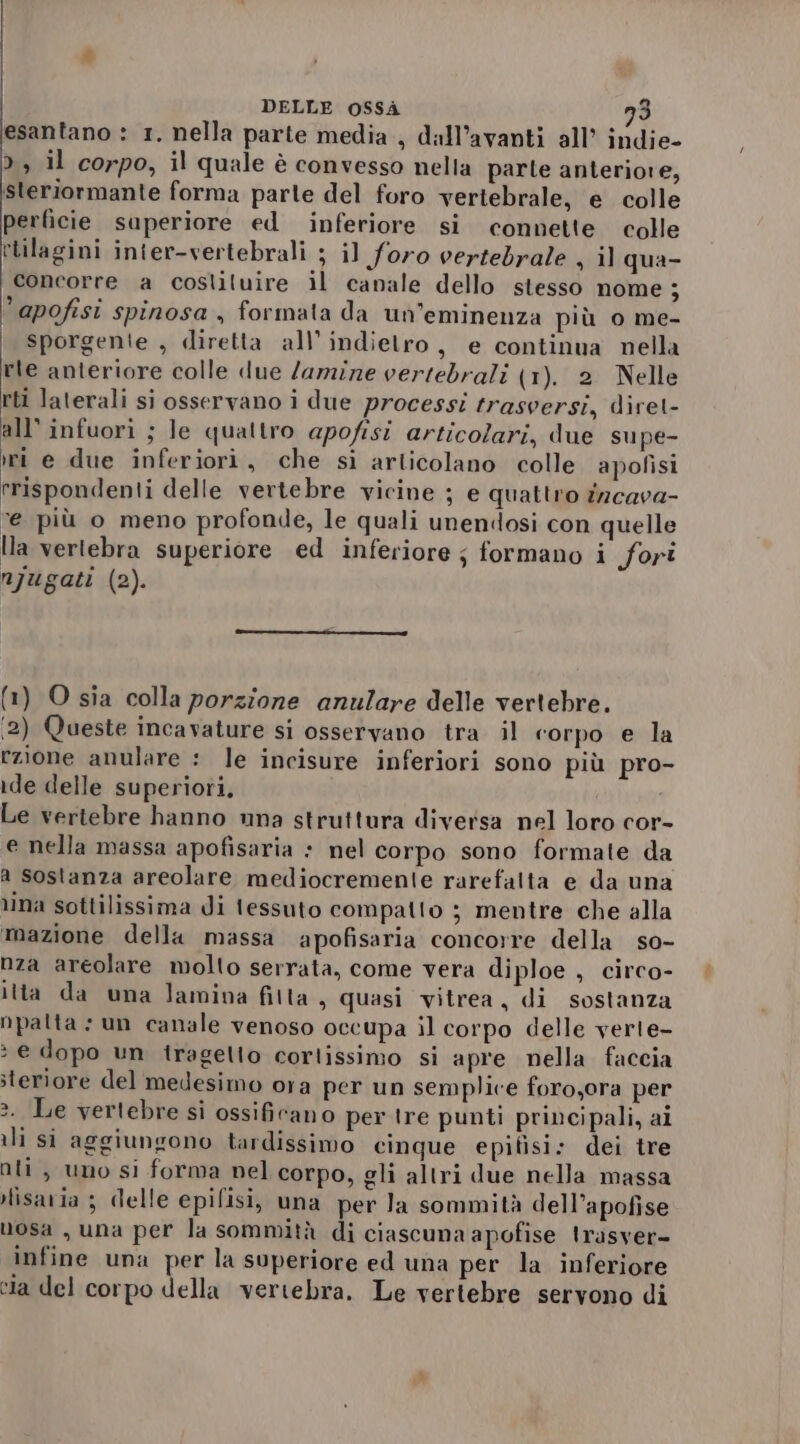 esantano : 1. nella parte media, dall’avanti all’ indie- &gt;, il corpo, il quale è convesso nella parte anteriore, Steriormante forma parte del foro vertebrale, e colle perficie superiore ed inferiore si connette colle ‘tilagini inier-vertebrali ; il foro vertebrale , il qua- concorre a cosliluire il canale dello stesso nome ; apofisi spinosa , formata da un’eminenza più o me- | sporgente , diretta all’ indietro, e continua nella rle anteriore colle due lamzize verredrali (1). 2 Nelle rti laterali si osservano i due processi trasversi, diret- all'infuori ; le quattro apofisi articolari, due supe- ri e due inferiori, che si articolano colle apofisi rrispondenti delle vertebre vicine ; e quattro încava- “e più o meno profonde, le quali unendosi con quelle Ha vertebra superiore ed inferiore ; formano i fori njugati (2). (1) O sia colla porzione anulare delle vertebre. ‘2) Queste incavature si osservano tra il corpo e la zione anulare : le incisure inferiori sono più pro- :de delle superiori, Le vertebre hanno una struttura diversa nel loro cor- e nella massa apofisaria + nel corpo sono formate da a sostanza areolare mediocremente rarefatta e da una lina sottilissima di tessuto compatto ; mentre che alla mazione della massa apofisaria concorre della so- nza areolare molto serrata, come vera diploe , circo- itta da una lamina fitta, quasi vitrea, di sostanza npalta : un canale venoso occupa il corpo delle verte- * e dopo un tragello corlissimo si apre nella faccia iteriore del medesimo ora per un semplice foro,ora per &gt;. Le vertebre si ossificano per tre punti principali, al ili si aggiungono tardissimo cinque epifisi: dei tre nti, uno si forma nel corpo, gli altri due nella massa Nisaria ; delle epifisi, una per Ja sommità dell’apofise bosa , una per la sommità di ciascuna apofise trasver- infine una per la superiore ed una per la inferiore cia del corpo della vertebra. Le vertebre servono di