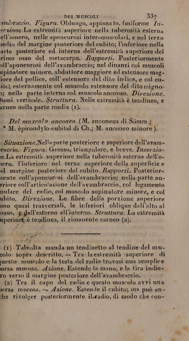 ambraccio. Figura. Oblungo, appiana to. fusiforme 7n- erzione.La estremità superiore nella tuberosità esterna ell'omero, nelle aponeurosi inter-muscolari, e nel terzo redio del margine posteriore del-cubito; l’inferiore nella arte posleriore ed interna dell’estremità superiore del rimo osso del metacarpo. Aiapporti. Posteriormente pll’aponeurosi dell’avambraccio; nel dinanzi coì muscoli upinatore minore, abduttore maggiore ed estensore mag- iore del pollice, coll’estensore del dito indice, e col cu- ito; esternamente col muscolo estensore del dito migno- o; nella parte interna col muscolo anconeo. Direzione. )uasi verticale. Strzszura. Nelle estremità è tendineo, e arneo nella parte media (1). Del muscolo anconeo. (M. anconeus di Simm.;j * M. èpicondylo-cubital di Ch.; M. anconeo minore ). «Situazione,Nella parle posteriore e superiore dell’avam- raccio.. Figura. Grosso, triangolare, e breve. Inserzio- le.Lia estremità superiore nella tuberosità esterna dell’o- rero. l’inferiore nel terzo superiore della superficie e el margine posteriore del cubito. Rapporzi. Posterior- nente coll’a apanpuginsi dell’avambraccio; nella parte an- eriore coll’artico!azione dell'’avambraccio, col legamento nulare del radio, col muscolo supinatore minore, e col ubito. /irezione. Le fibre della porzione superiore ono quasi trasversali, le inferiori oblique dall'alto al ASSO, poglall” esterno all’interno. Struztura. La estremità uperiortè: è legdinea, il rimanenle carneo (2). È tafò @) Talvolta manda un tendinetto al tendine del mu- colo sopra descritto, -- Tra. laestremità superiore di juesto muscolo e la testa del radio trovasi una semplice orsa mucosa. Azione. Estende la mano, ela tira indie- ro verso il margine posteriore dell’avambraccio, (2) Tra il capo del radio e questo muscolo avvi una ;Jorsa mucosa, -- Azione. Estende il cubito; ma può an- ‘he rivolger posteriormente. il-radio, di modo che con-