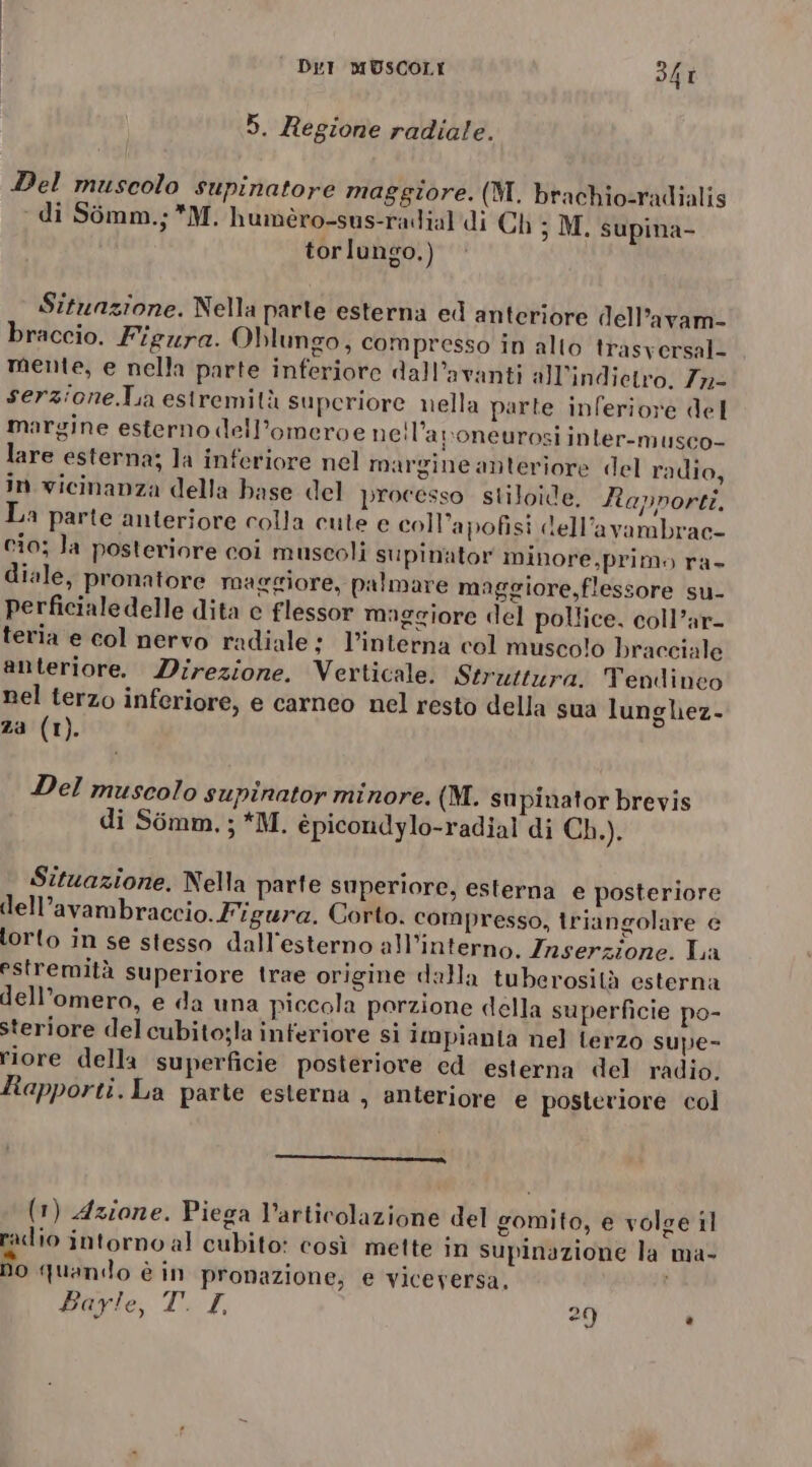 dux mi 5. Regione radiale. Del muscolo supinatore maggiore. (M. brachio-radialis ‘ di Simm.; *M. humèro-sus-radial'di Ch ; M. supina- torlungo.) Situazione. Nella parte esterna ed anteriore dell’avam- braccio. Figura. Oblungo, compresso in alto trasversal= mente, e nella parte inferiore dall’avanti all'indietro. 7n- serzione.Lia estremità superiore nella parte inferiore del margine esterno dell’omeroe ne:l’aroneurosi inter-musco- lare esterna; la inferiore nel margine anteriore del radio, in vicinanza della base del processo stiloide. Rapporti. La parte anteriore colla cute e coll’apofisi dell’avambrac- cio; la posteriore coi muscoli supinator minore,prim» ra- diale, pronatore maggiore, palmare maggiore,flessore su- perficialedelle dita c flessor maggiore del pollice. coll’ar- teria e col nervo radiale; l’interna col muscolo bracciale anteriore. Direzione. Verticale. Struttura. Tendinco nel terzo inferiore, e carneo nel resto della sua lungliez- za (1). Del muscolo supinator minore. (M. supinator brevis di Somm.; *M. épicondylo-radial di Ch.). Situazione. Nella parfe superiore, esterna e posteriore lell’avambraccio. Figura. Corto. compresso, triangolare e torto in se stesso dall'esterno all’interno, Inserzione. La estremità superiore trae origine dalla tuberosità esterna dell’omero, e da una piccola porzione della superficie po- steriore del cubito;la inferiore si impianta nel terzo supe- riore della superficie posteriore ed esterna del radio. Rapporti. La parte esterna , anteriore e posteriore col —— —_—_—_———x% (1) Azione. Piega l'articolazione del gomito, e volge il radlio intorno al cubito: così mette in supinazione la ma- no quando è in pronazione; e viceversa, Bayle, T. I, 29