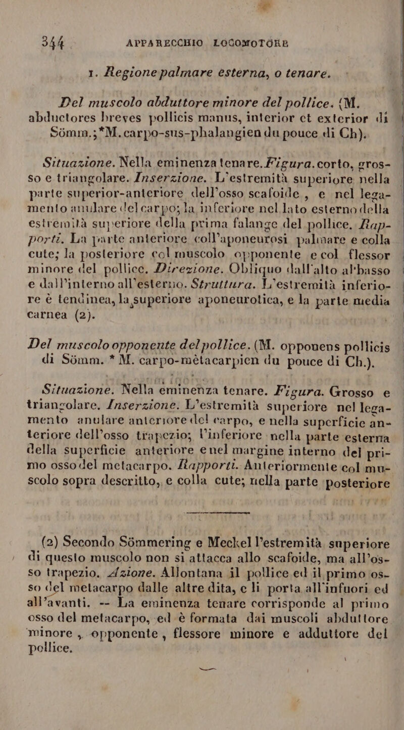 1. Regionepalmare esterna, o tenare. Del muscolo abduttore minore del pollice. (M. abductores breyes pollicis manus, interior ct exterior di Sémm.;*M.carpo-sus-phalangien du pouce «i Ch). Situazione. Nella eminenza tenare. Figura. corto, gros- so e triangolare. Zrserzione. L'estremità superiore nella parte superior-anteriore dell’osso scafoide., e nel lega- mento anulare delcarpo;la inferiore nel lato esterno della estremità superiore della prima falange del pollice. Lap- porti. La parte anteriore coll’aponeurosi palmare e colla cute; la posteriore col muscolo opponente e col. flessor minore del pollice. Direzione. Obliquo dall'alto al'basso e dall’interno all’esterno. Strusiura. L'estremità inferio- re è tendinea, la superiore aponeurolica, e la parte media carnea (2). Del muscolo opponente del pollice. (M. opponens pollicis di Simm. * M. carpo-mètacarpien du pouce di Ch.). Situazione. Nella eminenza tenare. Figura. Grosso e trianzolare. /rnserzione. L'estremità superiore nel lega- mento anulare anteriore del carpo, e nella superficie an- teriore dell’osso trapezio; l’inferiore nella parte esterna della superficie anteriore e nel margine interno del pri- mo osso del metacarpo. Rapporti. Anteriormente col mu- scolo sopra descritto, e colla cute; nella parte posteriore e» (2) Secondo Simmering e Meckel l’estremità. superiore di questo muscolo non si attacca allo scafoide, ma all’0s- so trapezio. Azione. Allontana il pollice ed il primo (0s- so del metacarpo dalle altre dita, e li porta all'infuori ed all’avanti. -- La eminenza tenare corrisponde al primo osso del metacarpo, ed è formata dai muscoli abduttore ‘minore ,, opponente , flessore minore e adduttore del pellice. ì