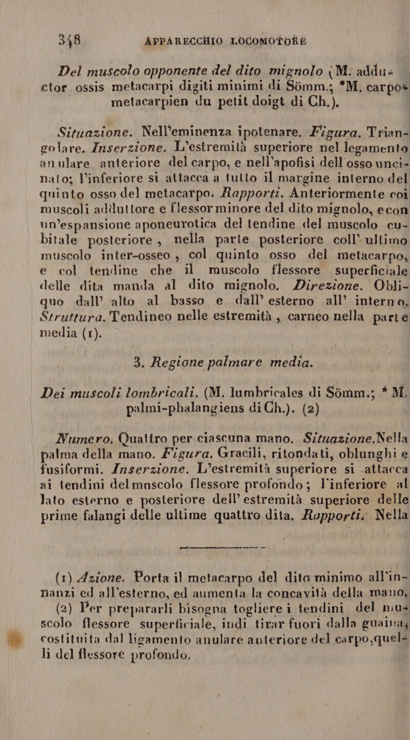 Del muscolo opponente del dito mignolo (M.; addu+ etor ossis metacarpi digiti minimi di Somm.; *M, carpo® metacarpien du petit doigt di Ch.). Situazione. Nell’'eminenza ipotenare. Figura. Trian- golare. Inserzione. L’estremità superiore nel legamento anulare anteriore del carpo, e nell’apofisi dell'osso unci- nato; l’inferiore si attacca a tutto il margine interno del quinto osso del metacarpo. Rapporti. Anteriormente coi muscoli adiluttore e flessor minore del dito mignolo, econ un'espansione aponeurotica del tendine del muscolo cu- bitale posteriore , nella parte posteriore coll’ ullimo muscolo inter-osseo $ col quinto osso del metacarpo, e col tendine che il muscolo flessore superficiale delle dita manda al dito mignolo. Direzione. Obli- quo dall’ alto al basso e dall’ esterno all’ interno. Struttura. Tendineo nelle estremità, carneo nella parte media (1). 3. Regione palmare media. Dei muscoli lombricali. (M. lumbricales di Simm.; * M. palmi-phalangiens di Ch.). (2) Numero, Quattro per ciascuna mano. Situazione.Nella palma della mano. Figura. Gracili, ritondati, oblunghi e fusiformi. Znserzione. L’estremità superiore si attacca ai tendini delmnscolo flessore profondo; l'inferiore al lato esterno e posteriore dell’ estremità superiore delle prime falangi delle ultime quattro dita, Rapporti. Nella (1) Azione. Porta il metacarpo del dito minimo all'in- nanzi ed all’esterno, ed aumenta la concavità della mano, (2) Per prepararli bisogna togliere i tendini del niu+ scolo flessore superficiale, indi tirar fuori dalla guaina, costituita dal ligamento anulare anteriore del carpo,quel li del flessore profondo.