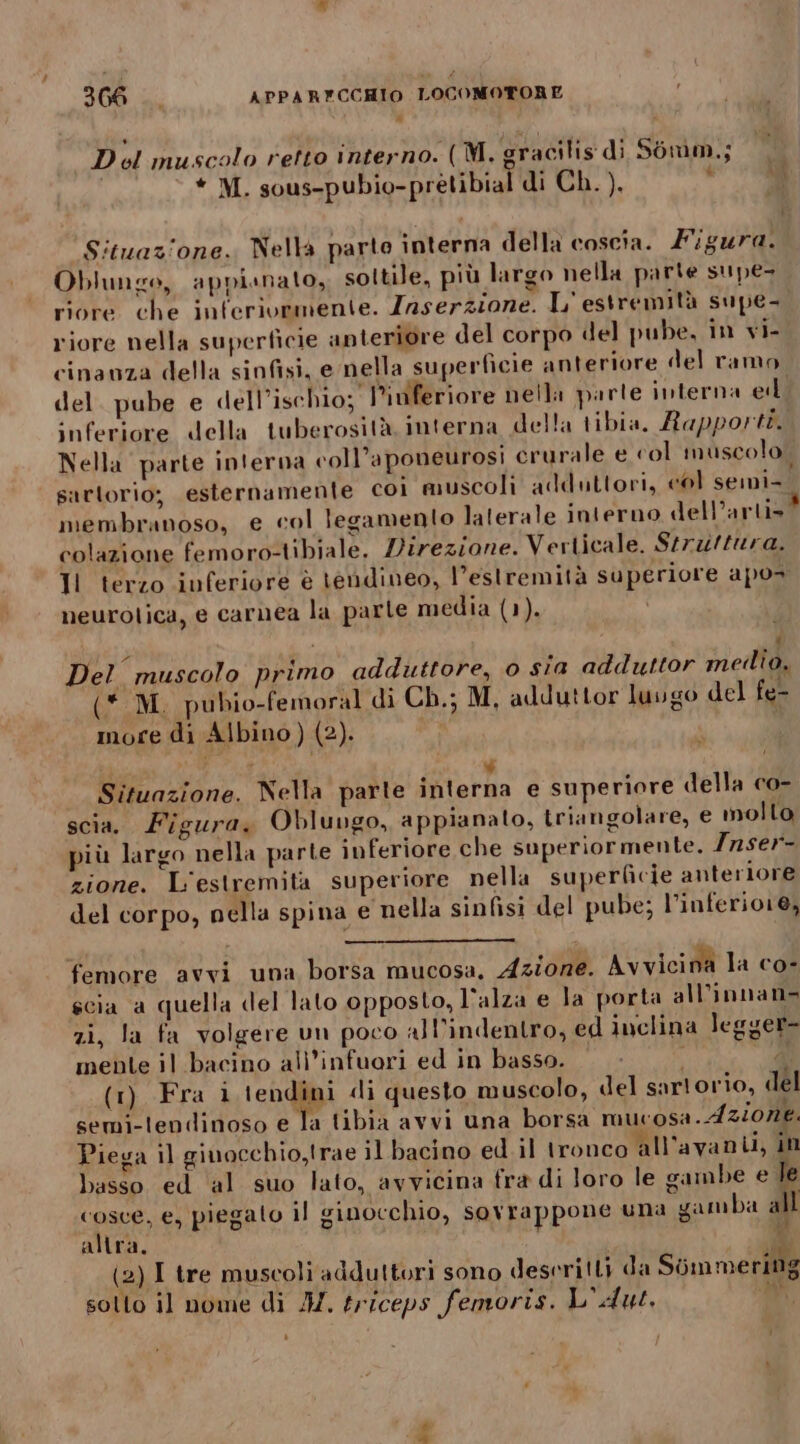 Del muscolo retto interno. (M. gracilis di 56mm.; * M. sous-pubio-pretibial di Ch. ). ° Situazione. Nella parto interna della coscia. Figura. Oblunge, appisnato, sottile, più largo nella parte supe, riore che inferiormente. Inserzione. L' estremità supe riore nella superficie anteriore del corpo del pube, in vi- cinavza della sinfisi, e nella superficie anteriore del ramo del. pube e dell’ischio;. l’idferiore nella parte interna el inferiore della tuberosità interna della tibia. Rapporti. Nella parte interna coll’aponeurosi crurale e col muscolo. sarlorio; esternamente coi muscoli adduttori, «ol semi- membranoso, e col legamento laterale interno dell’artis® colazione femoro-tibiale, Lirezione. Verticale. Strzu//ura. Il terzo inferiore è tendineo, l'estremità superiore apos neurolica, e carnea la parte media (1). D, \ li) Del muscolo primo adduttore, 0 sia adduttor meilio, (* M. pubio-femoral di Ch.; M, adduttor luugo del fe- more di Albino) (2). Situazione. Nella parte interna e superiore della co- scia. Figura, Obluugo, appianalo, triangolare, e mollo più largo nella parte inferiore che superiormente. Znser- zione. L'estremita superiore nella superficie anteriore del corpo, nella spina e nella sinfisi del pube; l’inferio1e, femore avvi una borsa mucosa, Azione. Avvicina la co- scia a quella del lato opposto, l’alza e la porta all’innan= zi, Ja fa volgere un poco all’indentro, ed inclina legger- mente il bacino all'infuori ed in basso. î à (1) Fra i tendini di questo muscolo, del sartorio, del semi-tendinoso e la tibia avvi una borsa mucosa. Azione. Piega il giuocchio,trae il bacino ed il tronco all'avanti, in basso ed al suo lato, avvicina fra di loro le gambe e le cosce, e, piegato il ginocchio, sovrappone una gamba all altra. Y (2) I tre muscoli adduttori sono descritti da Simmering sotto il nome di M. triceps femoris. L'Aut, mi, i , x