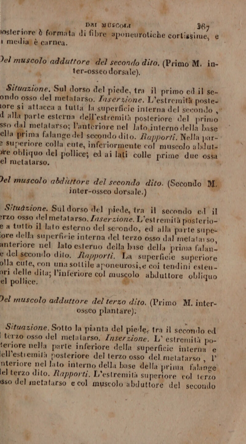 * a (/.. DBI MUSCONI 383 osteriore è formata di fibre ‘aponeurotiche corlisgime, € 1 media” è carnea. &gt;el muscolo adduttore del secondo dito, (Primo M. in- di ter-ossco dorsale). È 1 Situazione, Sul dorso del piede, tra il primo ed il se- ondo osso del metatarso. Zaserzione. L'estremità poste. lore sì attacca a tutta la superficie interna del secondo o dalla parte esterna dell'estremità posteriore del primo sso dal metatarso; l'anteriore nel lato,interno della base ella prima falange de] secondo dito. Rapporti. Nella par- e superiore colla cute, inferiormente col muscolo abdut= fre obliquo del pollice; ed ai lati colle prime due ossa el metatarso, ” Del muscolo abditttore del secondo dito. (Secondo M. inter-osseo dorsale.) at LI Situazione. Sul dorso del piede, tra il secondo el il erzo osso «lel metatarso, Zaserzione. L'estremità posterio- e a tutto il lato esterno del secondo, ed alla parte supe- ore della superficie interna del terzo osso dal metatn so, anteriore nel Jato esterno della base della prima falan- e del.seconlo dito, Rapporti. La superficie superiore pila cute, con una sottile aponeurosi,e coi tendini esten- ori delle dita; l’inferiore col Fiuggi abduttore obliquo el pollice. Del muscolo adduttore del terzo dito. (Primo M,. inter- osseo plantare). Situazione. Sotto la pianta del piede, tra il secondo cd | terzo osso del metatarso, Znserzione, L' estremità po- teriore nella parte inferiore della superficie interna e ell’estremità posteriore del terzo osso del metatarso NA A nteriore nel lato interno della base della prima falange. el terzo dito. Rapporti, L'estremità superiore col terzo sso del metatarso e col muscolo abduttore del secondo