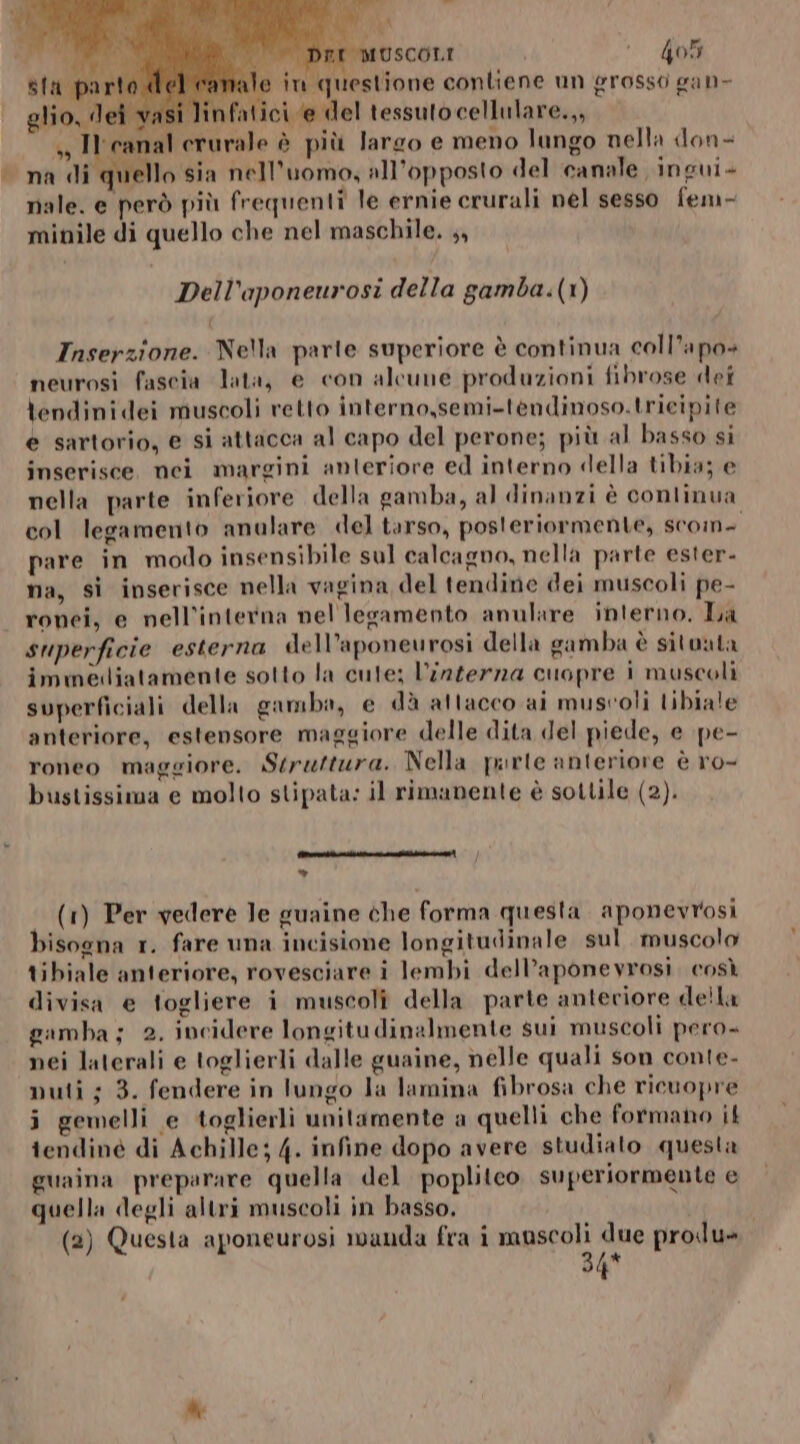 } dallo + DEL MUSCOLI ‘405 sta pa 3 e in questione contiene un grosso gan- glio, Jei 4 nfatici e del tessutocellulare.,, s Ilrcanal erurale è più largo e meno lungo nella don- ‘na di quello sia nell'uomo, all'opposto del canale ingui- nale. e però più frequenti le ernie crurali nel sesso fem- minile di quello che nel maschile. ;, Dell’aponeurosi della gamba.(1) Inserzione. Nella parte superiore è continua coll’apo+ neurosi fascia lata, e con alcune produzioni fibrose dei tendinidei muscoli retto interno,semi-tendinoso.trieipite e sartorio, e si attacca al capo del perone; più al basso si inserisce. nei margini anteriore ed interno della tibia; e nella parte inferiore della gamba, al dinanzi è continua col legamento anulare «del tarso, posteriormente, scom- pare in modo insensibile sul calcagno, nella parte ester- na, si inserisce nella vagina del tendine dei muscoli pe- ronei, e nell’interna nel legamento anulare interno. La superficie esterna dell’aponeurosi della gamba è situata immediatamente sotto la cute; l’interza cuopre i muscoli superficiali della gamba, e dà attacco ai musvoli tibiale anteriore, estensore maggiore delle dita del piede, e pe- roneo maggiore. Struttura. Nella piurte anteriore è ro- bustissima e molto stipata: il rimanente è sottile (2). lari ire veli civaer acesentaali * (1) Per vedere Je guaine che forma questa. aponevrosi bisogna r. fare una incisione longitudinale sul. muscolo tibiale anteriore, rovesciare i lembi dell’aponevrosi. così divisa e togliere i muscoli della parte anteriore della gamba; 2. incidere longitudinalmente sui muscoli pero nei laterali e toglierli dalle guaine, nelle quali son conte- nuti; 3. fendere in lungo la lamina fibrosa che rieuopre i gemelli e toglierli unitamente a quelli che formano it tendiné di Achille; 4. infine dopo avere studiato questa guaina preparare quella del poplitco superiormente e quella degli altri muscoli in basso, 4q*