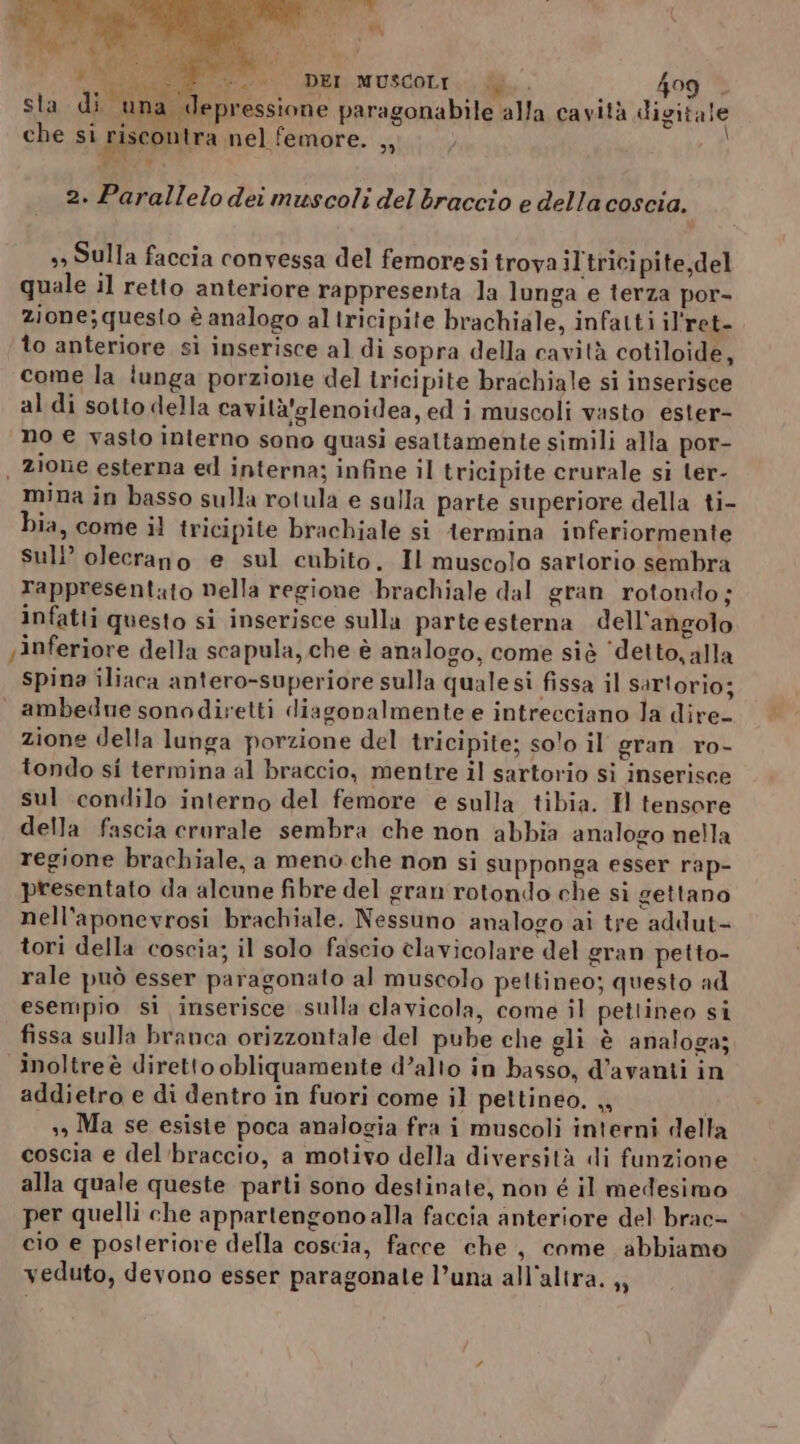 La URI DER MUSCOLI fil. 409 pressione paragonabile alla cavità digitale a nel femore. ,, lu ARgio s; : sla di una de che si Fiscontr 2. Parallelo dei muscoli del braccio e della coscia. s» Sulla faccia convessa del femoresi trova il trici pite,del quale il retto anteriore rappresenta la lunga e terza por- zione; questo è analogo al tricipite brachiale, infatti il'ret- to anteriore sì inserisce al di sopra della cavità cotiloide, come la tunga porzione del tricipite brachiale si inserisce al di sotto della cavità'glenoidea, ed i muscoli vasto ester- no € vasto interno sono quasi esaltamente simili alla por- | zione esterna ed interna; infine il tricipite crurale si ter- mina in basso sulla rotula e salla parte superiore della ti- bia, come il tricipite brachiale si termina inferiormente suli’ olecrano e sul cubito. Il muscolo sartorio sembra rappresentato nella regione brachiale dal gran rotondo; infatti questo si inserisce sulla parte esterna dell'angolo inferiore della scapula, che è analogo, come siè ‘detto, alla Spina iliaca antero-superiore sulla qualesi fissa il sartorio; | ambedue sonodivetti diagonalmente e intrecciano la dire- zione della lunga porzione del tricipite; so!o il gran ro- tondo si termina al braccio, mentre il sartorio si inserisce sul condilo interno del femore e sulla tibia. Hl tensore della fascia crurale sembra che non abbia analogo nella regione brachiale, a meno che non si supponga esser rap- presentato da alcune fibre del gran rotondo che sì gettano nell'aponevrosi brachiale. Nessuno analogo ai tre addut- tori della coscia; il solo fascio clavicolare del gran petto- rale può esser paragonato al muscolo pettineo; questo ad esempio si inserisce sulla clavicola, come il petlineo si fissa sulla branca orizzontale del pube che gli è analoga; inoltre è diretto obliquamente d’alto in basso, d’avanti in addietro e di dentro in fuori come il pettineo. ,, i 3, Ma se esiste poca analogia fra i muscoli interni della coscia e del'braccio, a motivo della diversità di funzione alla quale queste parti sono destinate, non é il medesimo per quelli che appartengono alla faccia anteriore del brac- cio e posteriore della coscia, facce che, come abbiamo veduto, devono esser paragonate l’una all'altra. ,,