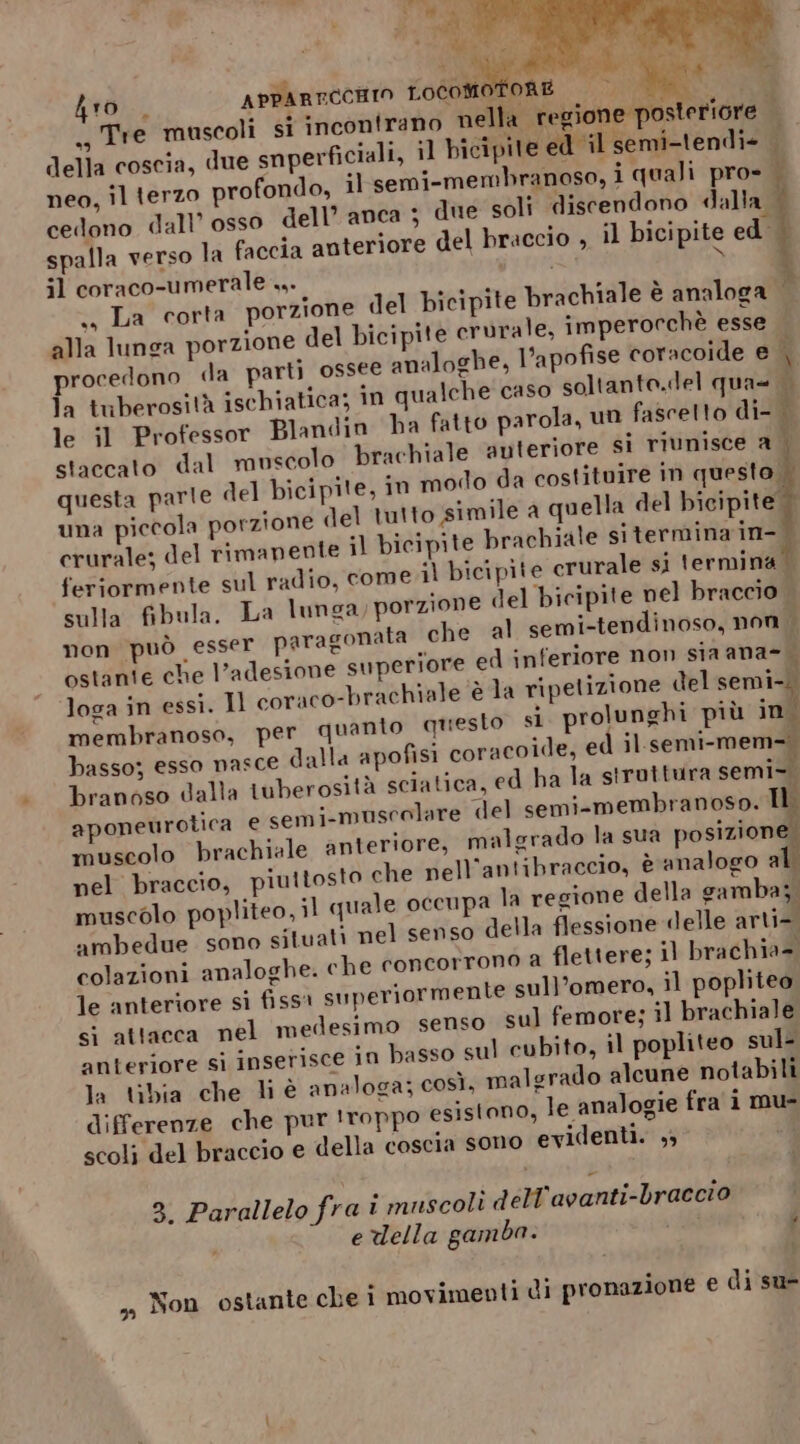 VERA RI, C, è, 2 SOI 4ro . APPARECCHIO sodumotone ot n. ., Tre muscoli si incontrano nella regione posteriore i della coscia, due snperficiali, ;l bicipite ed il semi-tendi- 3 neo, il terzo profondo, il semi-membranoso, i quali pro- { cedono dall’ osso dell’ anca } due soli discendono dalla | spalla verso la faccia anteriore del braccio , il bicipite ed il coraco-umerale ... ; n. ì . La corta porzione del bicipite brachiale è analoga — alla lunga porzione del bicipite crurale, imperorchè esse procedono da parti ossee analoghe, l’apofise coracoide e | la tuberosità ischiatica; in qualche caso soltanto.del qua= le il Professor Blandin ha fatto parola, un fascelto di- staccato dal muscolo brachiale auteriore si riunisce a. questa parle del bicipite, in modo da costituire in questo, una piccola porzione del tutto simile a quella del bicipite. erurale; del rimapente il bicipite brachiale siterminain- feriormente sul radio, come 1) bicipite crurale si termina sulla fibula. La lunga, porzione del bicipite nel braccio i non può esser paragonata che al semi-tendinoso, nom ostante che l’adesione superiore ed inferiore non sia ana- loga in essi. Il coraco-brachiale è la ripetizione del semi-.. membranoso, per quanto questo si prolunghi più ino basso; esso nasce dalla apofisi coracoide, ed il. semi-mem-. branoso dalla tuberosità sciatica, ed ha la struttura semi-. aponeurotica e semi-muscolare del semi-membranoso. Il muscolo brachiale anteriore, malgrado la sua posizion ; pel braccio, piuttosto che pell’antibraccio, è analogo al muscolo popliteo, il quale occupa la regione della gamba; ambedue sono situati nel senso della flessione delle arti colazioni analoghe. che concorrono a flettere; il brachia- le anteriore si fissa superiormente sull’omero, il popliteo sì attacca nel medesimo senso sul femore; il brachiale anteriore sì inserisce in basso sul cubito, il popliteo sul- la tibia che li è analoga; così, malsrado alcune notabili differenze che pur !roppo esistono, le analogie fra i mu- scoli del braccio e della coscia sono evidenti. , 3. Parallelo fra i muscoli dell'avanti-braccio edella gam ba. È ,, Non ostante che i movimenti di pronazione e di su=