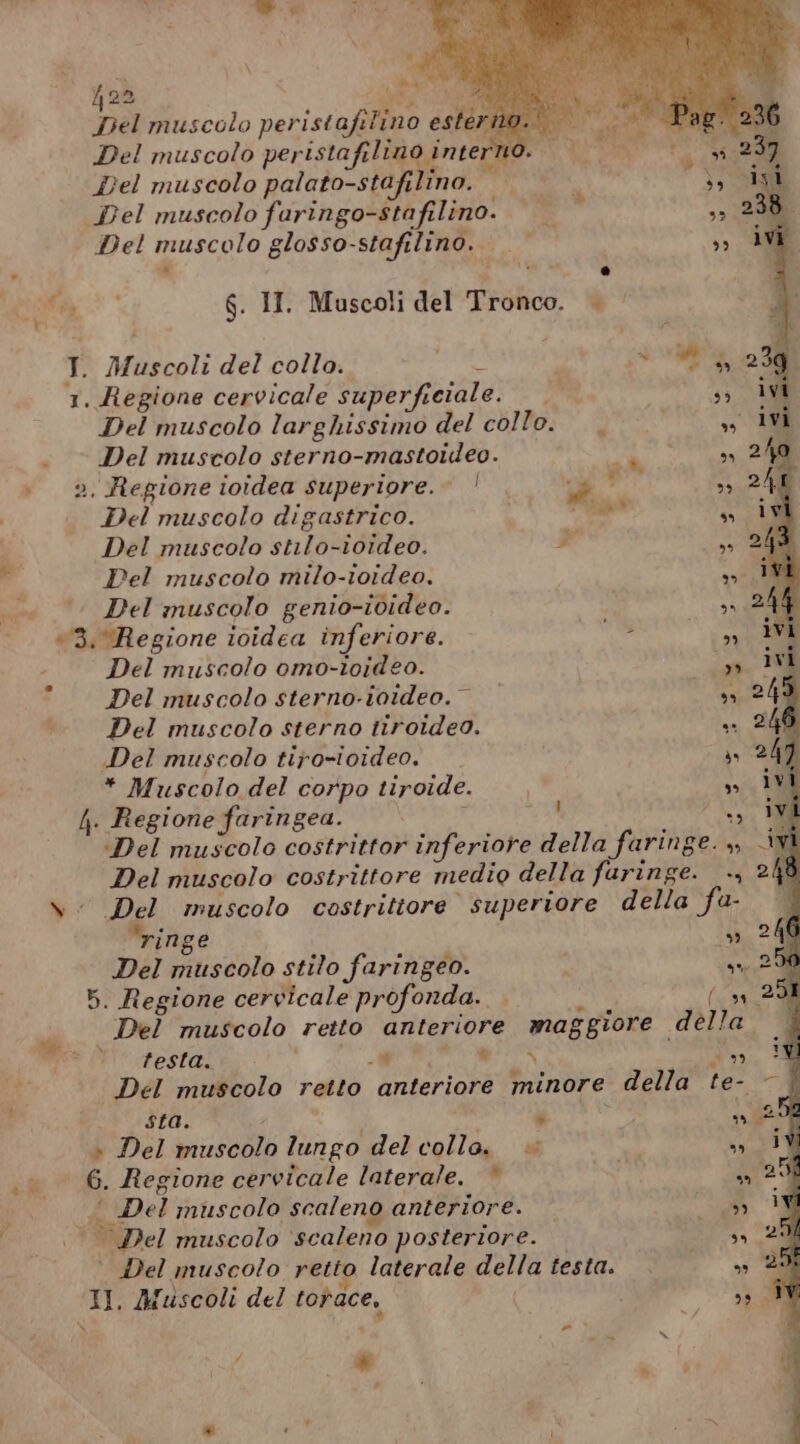 » 422 ERRO pel muscolo peristafilino ester Del muscolo peristafilino interno. Del muscolo palato-stafilino. | Del muscolo faringo-stafilino. Del muscolo glosso-stafilino. &lt; È e fa * g. II. Muscoli del Tronco. | 1. Regione cervicale superficiale. Del muscolo larghissimo del collo. Del muscolo sterno-mastoideo. 2. Regione ioidea superiore. |! ce” Del muscolo digastrico. tà Del muscolo stilo-ioideo. » Pel muscolo milo-toideo, . Del muscolo genio-i0ideo. 3. ‘Regione ioidea inferiore. a Del muscolo omo-ioideo. Del muscolo sterno-ioideo. Del muscolo sterno tiroideo. Del muscolo tipo-ioideo. * Muscolo del corpo tiroide. |. Regione faringea. ; ‘Del muscolo costri a inge Del muscolo stilo faringeo. 5. Regione cervicale profonda. . | Del muscolo retto anteri testa. -W e sta. n » Del muscolo lungo del collo. è 6. Regione cervicale laterale. * ‘ Del muscolo scaleno anteriore. | Del muscolo retto laterale della testa. II. Muscoli del torace, Li A LE) » CLI