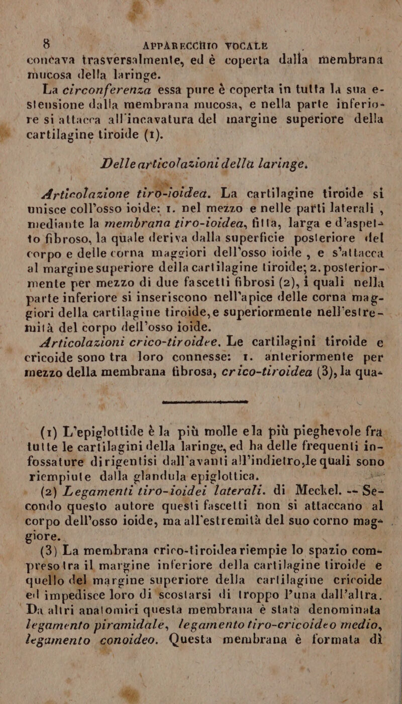 lo] APPARECCHIO VOCALE i ® contava trasversalmente, ed è coperta dalla membrana mucosa della laringe. La circonferenza essa pure è coperta in tutta la sua e- stensione dalla membrana mucosa, e nella parte inferio- re si attacca all'incavatura del margine superiore della Delle articolazioni della laringe. Articolazione tiro-ioidea. La cartilagine tiroide si unisce coll’osso ioide: 1. nel mezzo e nelle parti laterali , mediante la membrana tiro-toidea, fitta, larga e d’aspet> to fibroso, la quale deriva dalla superficie posteriore el corpo e delle corna maggiori dell'osso ioide , e s’attacca al margine superiore della cartilagine tiroide; 2. posterior-. mente per mezzo di due fascetti fibrosi (2), i quali nella parte inferiore si inseriscono nell’apice delle corna mag- mità del corpo dell’osso ioide. Articolazioni crico-tiroidee, Le cartilagini tiroide e cricoide sono tra loro connesse: 1. anteriormente per mezzo della membrana fibrosa, crzco-tiroidea (3), la qua- (1) L’epiglottide è la più molle ela più pieghevole fra; tutte le cartilagini della laringe, ed ha delle frequenti in- riempiute dalla glandula epiglottica. pudee + (2) Legamenti tiro-ioidei laterali. di Meckel. -- Se- condo questo autore questi fascetti non si attaccano. al lore. | si (3) La membrana crico-tiroidea riempie lo spazio com- preso tra il margine inferiore della cartilagine tiroide è quello del margine superiore della cartilagine cricoide eil impedisce loro di scostarsi di troppo l’una dall’altra. ‘Da altri anatomici questa membrana è stata denominata legamento piramidale, legamento tiro-cricoideo medio, legamento conoideo. Questa membrana è formata dì \ } #6; È