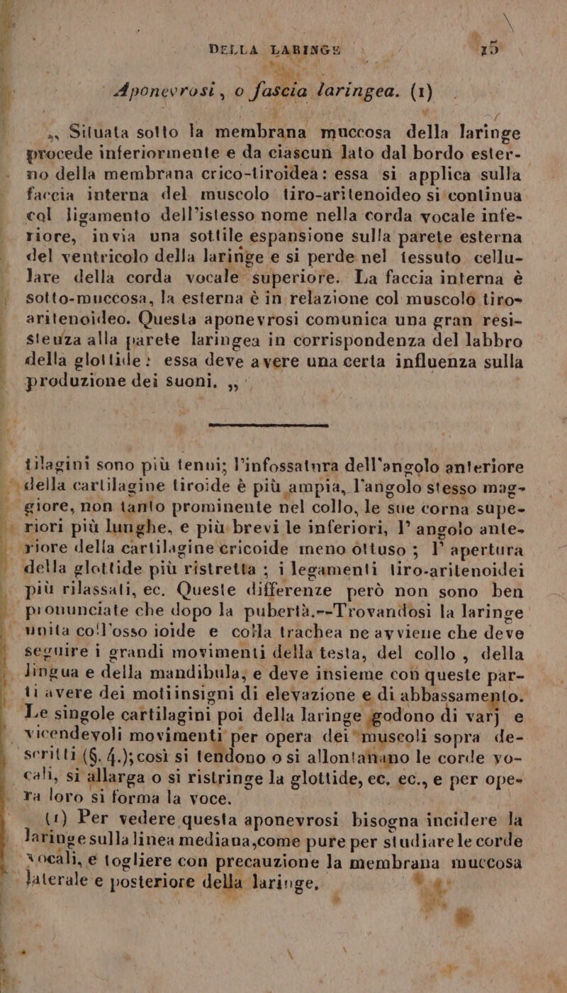 re en Date i } ss Siluata sotto la membrana muccosa della laringe procede inferiormente e da ciascun lato dal bordo ester- no della membrana crico-tiroidea : essa si applica sulla faccia interna del muscolo tiro-aritenoideo si‘conlinua col ligamento dell’istesso nome nella corda vocale infe- riore, invia una sottile espansione sulla parete esterna del ventricolo della laringe e si perde nel tessuto. cellu- lare della corda vocale superiore. La faccia interna è sotto-muccosa, la esterna è in relazione col muscolò tiro» aritenoideo. Questa aponevrosi comunica una gran resi- steuza alla parete laringea in corrispondenza del labbro della glottide : essa deve avere una certa influenza sulla produzione dei suoni, ,; iilagini sono più tenwi; l’infossatnra dell'angolo anteriore ìi Î ha giore, non tanto prominente nel collo, le sue corna supe- riori più lunghe, e più: brevi le inferiori, 1° angolo ante riore della cartilagine cricoide meno ottuso ; 1° apertura e più rilassati, ec. Queste differenze però non sono ben unita co'l'osso icide e colla trachea ne ayviene che deve seguire i grandi movimenti della testa, del collo, della lingua e della mandibula; e deve insieme coi queste par- ti avere dei motiinsigni di elevazione e di abbassamento. Le singole cartilagini poi della laringe godono di varj e cali, si allarga o si ristringe la glottide, ec, ec., e per ope» ra loro si forma la voce. (1) Per vedere questa aponevrosi bisogna incidere la laringe sulla linea mediana,come pure per studiare le corde vocali, e togliere con precauzione la membrana muccosa ME i velel Pe\) ù
