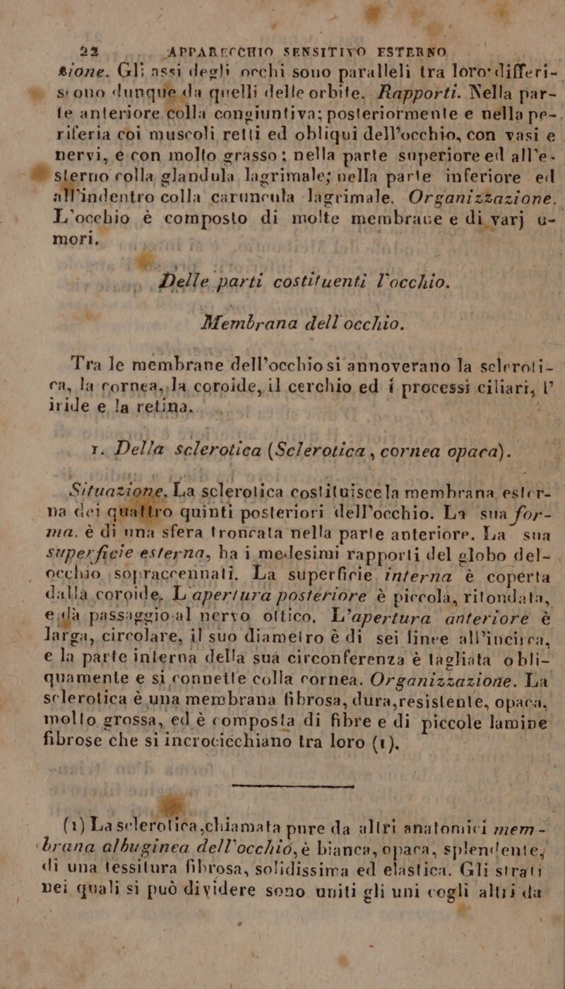 # ati 23 .., CAPPARFECOHIO SENSITIVO ESTERNO. sono dunque da quelli delle orbite. Rapporti. Nella par- riferia coi muscoli retti ed obliqui dell'occhio, con vasi e nervi, e;con molto grasso ; nella parte superiore ell all’e- Pajero colla glandula lagrimale; nella parte inferiore ed L'occhio è composto di molte membrave e di varj u- mori, Delle parti costituenti l'occhio. Membrana dell'occhio. Tra le membrane dell’occhio si annoverano la scleroti- ca, la cornea,;la coroide,il cerchio ed i processi ciliari, I” iride e la retina. r. Della sclerotica (Sclerotica , cornea opaca). na dei gi o quinti posteriori ‘lell’occhio. La sua for- ma. è di una sfera troncata nella parle anteriore. La sua superficie esterna, ba i medesimi rapporti del globo del- occhio \sopraccennali. La superficie, inferna è coperta Soc La sclerotica costituiscela membrana ester edà passiggio:al nervo ottico. L'apertura anteriore è larga, circolare, il suo diameiro è di sei linee all’incirca, e la parte interna della sua circonferenza è tagliata o bli- quamente e sì connette colla cornea. Organizzazione. La sclerotica è una membrana fibrosa, dura, resistente, opaca, fibrose che si incroticchiano tra loro (1). (1) La selerotica,chiamata pure da altri anatomici mem - dì una tessitura fibrosa, solidissima ed elastica. Gli strati Dei quali si può dividere sono uniti gli uni cogli altri da ° di ' ,