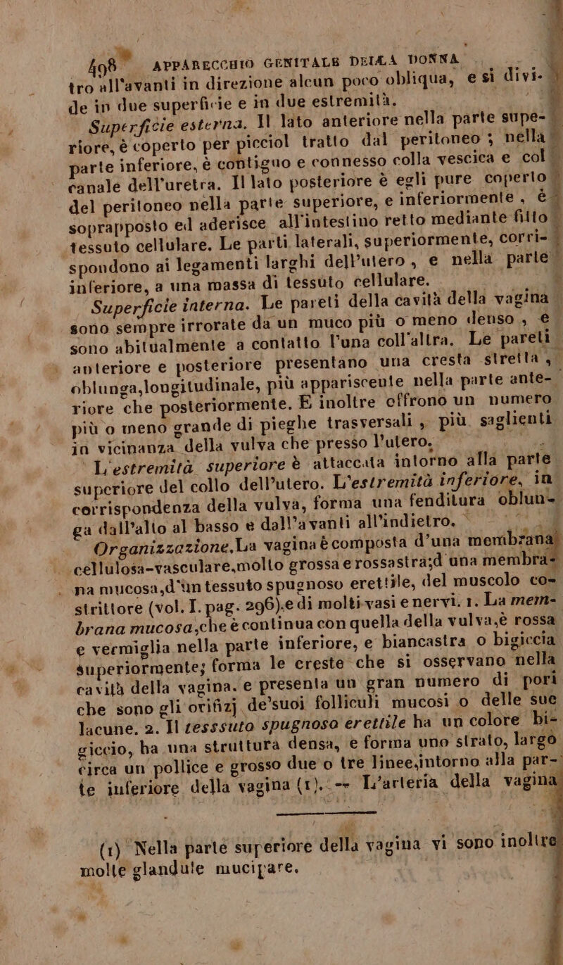 îro all'avanti in direzione alcun poco obliqua, de în due superficie e in due estremità. i Superficie esterna. Il lato anteriore nella parte supe- i riore, è coperto per picciol tratto dal peritoneo ; nella + parte inferiore, è contiguo e connesso colla vescica e col 8° APPARECCHIO GENITALB DELLA DONNA bi 9 a DY . . e si divi. Ì canale dell'uretra. Il lato posteriore è egli pure coperto Î del peritoneo nella parte superiore, e inferiormente , è soprapposto e aderisce all'intestino retto mediante fitto | ‘tessuto cellulare. Le parti laterali, superiormente, corri- i spondono ai legamenti larghi dell'utero, e nella parte inferiore, a una massa di tessuto cellulare. $ Superficie interna. Le pareti della cavità della vagina sono sempre irrorate da un muco più o meno denso, € sono abitualmente a contatto luna coll’altra. Le pareti anteriore e posteriore presentano una cresta streita , oblunga,longitudinale, più appariscente nella parte ante- i riore che posteriormente. E inoltre cffrono un numero più o meno grande di pieghe trasversali , più. saglienti in vicinanza della vulva che presso l'utero. lat L'estremità superiore è attaccata intorno alla parte superiore del collo dell’utero. L'estremità inferiore, in corrispondenza della vulva, forma una fenditura oblun- ga dall’alto al basso è dall’a vanti all'indietro, - Mt Organizzazione, La vagina è composta d’una menibrana! cellulosa-vasculare,mollo grossa e rossastra;d una membra- . na mucosa, d'un tessuto spugnoso erettile, del muscolo co- strittore (vol. I. pag. 296):e di moltivasi e nervi. 1. La mem- brana mucosa;che è continua con quella della vulva,è rossa | e vermiglia nella parte inferiore, e biancastra o bigiccia superiormente; forma le creste che si osservano nella cavità della vagina. e presenta un gran numero di pori che sono gli orifizj de’suoi folliculi mucosi o delle sue lacune, 2. Il tesssuro spugnoso erettile ha un colore bi-. giccio, ha una struttura densa, è forma uno strato, largo circa un pollice e grosso due o tre linee.intorno alla par-. te inferiore della vagina (1).--r Larteria della vagina (1) Nella parte superiore della vagina vi sono inoltr molte glandule mucipare.