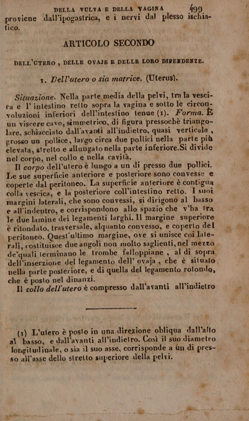 proviene dall'ipogastrica, e i nervi dal plesso ischia- tico, a ARTICOLO SECONDO DELL'UTERO , DELLE OVAIJB E DELLE LORO DIPENDENZE. 1. Dell’utero o sia matrice. (Uterus). Situazione. Nella parte media della pelvi, tra la vesci- ca e l’ intestino retto sopra la vagina e sotto le circon- voluzioni inferiori dell’intestino tenue (1). Forma. un viscere cavo, simmetrico, di figura pressochè triango- lare, schiacciato dall’avanti all'indietro, quasi verticale , grosso un pollice, largo circa due pollici nella parte più elevata, stretto e allungato nella parte inferiore.Si divide nel corpo, nel collo e nella cavità, Il corpo dell’utero è lungo a un di presso due pollici. Le sue superficie anteriore e posteriore sono convesse e coperte dal peritoneo. La superficie anteriore è contigua colla vescica, e la posteriore coll’intestino retto. I suoi margini laterali, che sono convessi, si dirigono al basso e all'indentro, e corrispondono allo spazio che v'ha tra le due lamine dei legamenti larghi, Il margine superiore è ritondato, trasversale, alquanto convesso, e coperto del peritoneo. Quest'ultimo margine, ove si unisce coi lale- rali, costituisce due angoli non molto saglienti, nel mezzo de'quali terminano le irombe falloppiane , al di sopra, dell'inserzione del legamento dell’ ovaja., che è situato nella parte posteriore, e di quella del legamento rotonde, che è posto nel dinanzi. | Il collo dell'utero è compresso dall’avanti all’indietro (1) L'utero è posto in una-direzione obliqua dall'alto al basso, edall’avanti all’indietro. Così il suo diametro ‘so all'asse dello stretto superiore della pelvi.