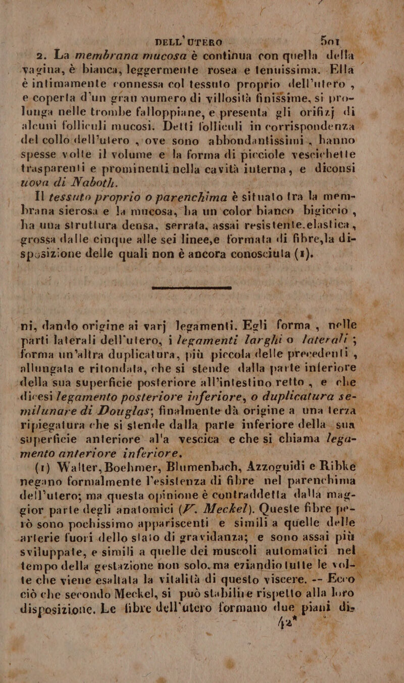 2. La membrana mucosa è continua con quella della vagina, è bianca, leggermente rosea. e tenuissima. -Flla è intimamente connessa col tessuto proprio dell’utero , e coperta d’un gran numero di villosità finissime, si pro- lunga nelle trombe falloppiane, e presenta gli orifizj di aleuni folliculi mucosi. Detti folliculi in corrispondenza del collo dell’utero ;;ove sono abbondantissimi., hanno spesse volte il volume e la forma di picciole vescichette trasparenti e prominenti nella cavità iuterna, e diconsi uova di Naboth. ) Il tessuto proprio o parenchima è situato tra la mem- brana sierosa e la mueosa, ba un'‘color bianco bigiccio , ha una struttura densa, serrata, assai resistente.elastica, grossa dalle. cinque alle sei linee,e formata di fibre,la di- spusizione delle quali non è ancora conosciula (1). parti laterali dell'utero, i legamenti larghi o laterali ; forma un’altra duplicatura, più piccola delle precedenti , allungata e ritondata, che si stende dalla parte inferiore della sua superficie posteriore all’intestino retto , e che dicesi legamento posteriore inferiore, o duplicatura se- milunare di Douglas; finalmente dà origine a una terza ripiegatura che si stende dalla parte inferiore della. sua superficie anteriore al'a vescica e che si chiama /ega- mento anteriore inferiore. (1) Walter, Boehmer, Blumenbach, Azzoguidi e Ribke negano formalmente l’esistenza di fibre nel parenchima dell’uteroj ma questa opinione è contraddetta dalla mag- gior parte degli anatomici (77. Meckel). Queste fibre pe- rò sono pochissimo appariscenti e simili a quelle delle arterie fuori dello staio di gravidanza; e sono assai più te che viene esaltata la vitalità di questo viscere. -- Eco ciò che secondo Meckel, si può stabilire rispetto alla loro disposizione. Le fibre dell'atero formano due piani di» 42° ; CN ) Y
