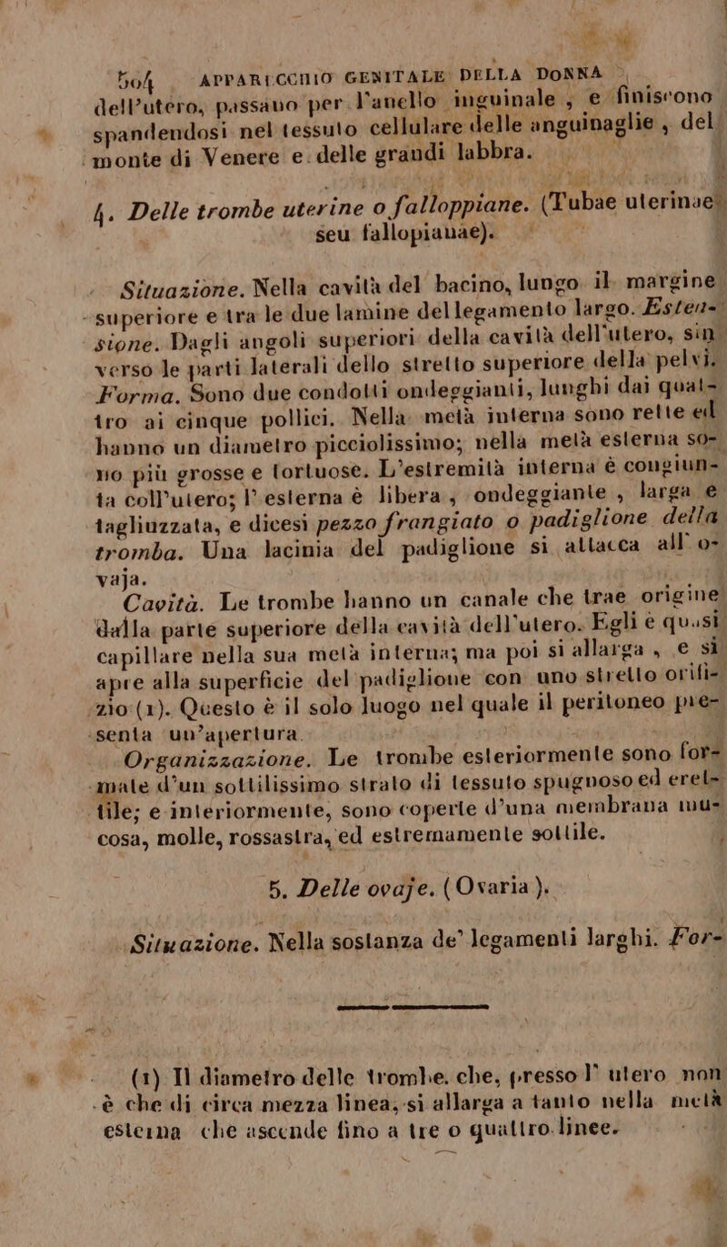 504. APPARECCHIO GENITALE DELLA DONNA dell’utero, passano per l'anello inguinale ; € finiscono spandendosi nel tessuto cellulare delle anguinaglie , del; ‘monte di Venere e. delle grandi labbra... | © 4. Delle trombe uterine o fi alloppiane. (Tubae uterinae) seu fallopianae). |} 0° Situazione. Nella cavità del bacino, lungo. il. margine - superiore e tra le due lamine dellegamento largo. Estea=. stone. Dagli angoli superiori della cavità dell'utero, sin. verso le parti laterali dello stretto superiore della pelvi. Forma. Sono due condotti ondeggianti, lunghi dai quat tro ai cinque pollici. Nella metà interna sono rette el hanno un diametro picciolissimo; nella metà esterna so- vo più grosse e tortuose. L’estremità interna è congiun- ta coll’utero; l'esterna è libera; ondeggiante , larga € tagliuzzata, e dicesi pezzo frangiato 0 padiglione della tromba. Una lacinia del padiglione si allacca all’ o- vaja. , Cavità. Le trombe hanno un canale che trae origine dala parte superiore della cavità dell'utero. Egli è quasi, capillare nella sua metà interna; ma poi si allarga , € si apre alla superficie del padiglione con uno strello orifi-. :z10:(1). Questo è il solo luogo nel quale il peritoneo pre- ‘senta un’apertura. Ò Organizzazione. Le trombe esteriormente sono for- rale d’un sottilissimo strato di tessuto spugnoso ed erel». tile; e interiormente, sono coperte d’una membrana mus cosa, molle, rossastra, ed estremamente sottile. A 5. Delle ovaje. (Ovaria). Sitwazione. Nella sostanza de legamenti larghi. For- _ Il diametro delle trombe. che, presso 1° utero non ‘è che di circa mezza linea; si allarga a tanto nella metà esterna che ascende fino a tre o quattro linee. ‘Mt ,