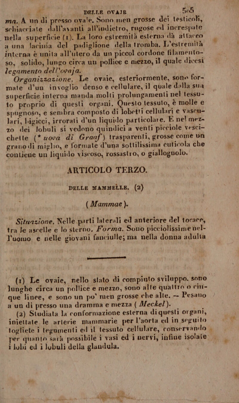 ma. A un di presso ova'e. Sono men grosse dei testicoli, ‘schiacciate dall’avanti all’indietro, rugose el increspate nella superficie (1). La loro esiremità esterna dà attareo a una lacinia del padiglione della tromba, L'estremità interna è unita all’utero da un piccol cordone filamento- so, solido, lungo circa uu pollice e mezzo, il quale dicesi legamento dell’ovaja. Organizzazione. Le ovaie, esteriormente, son» for- mate d’un invoglio denso e cellulare, il quale dalla sua superficie interna manda molti prolungamenti nel tessu- to proprio di questi organi. Questo tessuto, è molle e spugnoso, e sembra composto di lobetti cellulari e vaseu- lari, bigicci, irrorati d’un liquido particolare. È nel mez- zo dei lobuli si vedono quindici a venti picciole vesci- chette (*2ova di Graaf) trasparenti, grosse come un grano di miglio, e formate d’una sottilissima cuticola che contiene un liquido viscoso, rossastro, o giallognolo. ARTICOLO TERZO. DELLE MAMMELLE. (2) ( Mammae ). Situazione, Nelle parti laterali ed anteriore del torace, tra Je ascelle e lo sterno. Forma. Sono picciolissime nel- l’uomo e nelle giovani fanciulle; ma nella donna adulta [nn romana lunghe circa un pollice e mezzo, sono alte quattro o cini- ‘ que linee, e sono un po’ men grosse che alte. -- Pesano a un di presso una dramma e mezza ( Meckel). (2) Studiata la conformazione esterna di questi organi, iniettate le arterie mammarie per l’aorta ed in seguito togliete i tegumenti ed il tessuto cellulare, conservando per quanto sarà possibile i vasi ed i nervi, infine isolate i lobi ed i lobuli della glandula. » sù fg Pdl E è ®