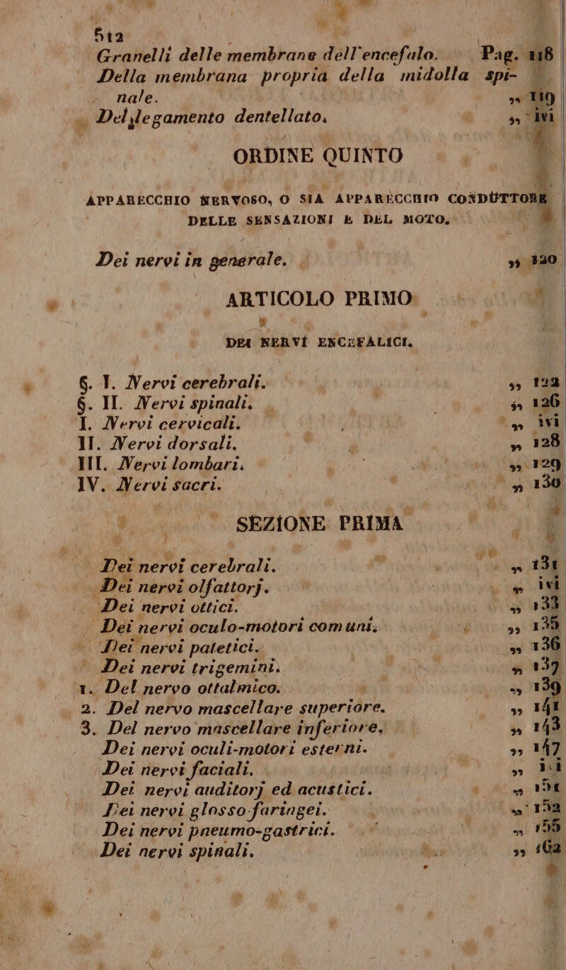Granelli delle membrane dell'encefalo. Pag. 18 Della membrana propria della midolla spi- |. « Del legamento dentellato, n dh ì ORDINE QUINTO APPARECCHIO fERVOSO, lo) SIA APPARECCHIO cosDUTTONR DELLE SENSAZIONI k DEL MOTO, Dei nervi in gengrale. . 39 1330 ARTICOLO PRIMO: A x | DEI NERVI ENCEFALICI, . T. Nervi cerebrali. , s> 122) $. II. Nervi spinali. . 1 so 126 I. Nervi cervicali. i 8 MA II. Nervi dorsali. SI » 128 III. Nervi lombari. “RR i Da, * agi enni IV. Nervi sacri. | | Ag) 130 °.. © SEZIONE PRIMA pi Dei nervi cerebrali. Pi i gp 13 Dei nervi i olfattory. » ivi Dei nervi ottici. 55 133 Dei ; nervi oculo-motori com uni. 4 33 135 | Dei nervi patetici. | so 136 Dei nervi trigemini. s 139 ‘1. Del nervo ablaliaton è 139 2. Del nervo mascellare superiore. so IhI 3. Del nervo mascellare inferior MIE ss 143 Dei nervi oculi-motori esterni. >» 147 Dei nervi faciali. dA 5 » ii Dei nervi auditorj ed acustici. sd Pei nervi glosso faringei. î 7192 Dei nervi pneumo-gastrici. ©.“ Salt sa ni 1508 Dei nervi spinali. sa 39 «Ga Ù Li