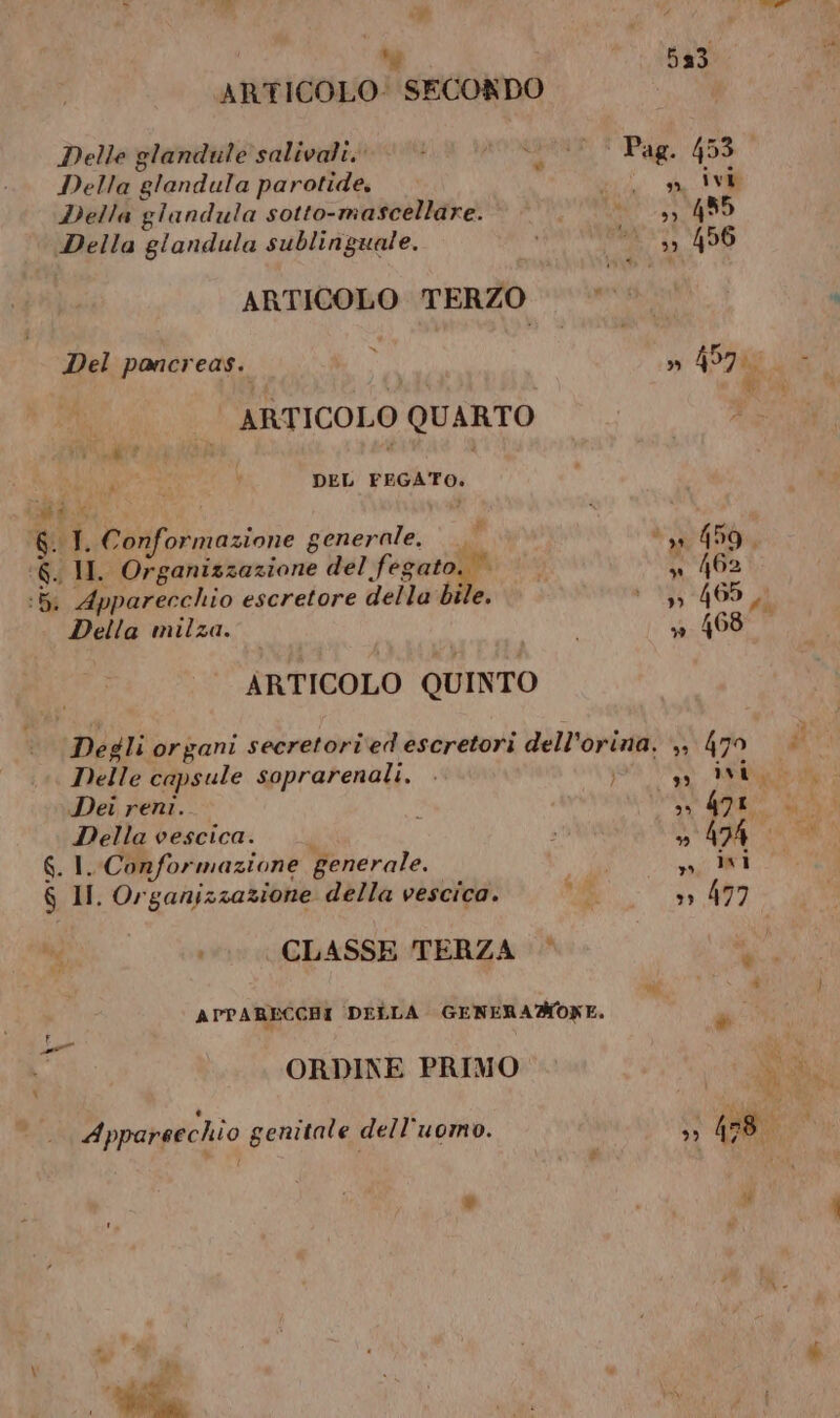 è ARTICOLO: SECONDO Delle glandule salivali. Della glandula parotide, Della glandula sotto-mascellare. Della glandula sublinguale. ARTICOLO TERZO Del pancreas. ARTICOLO QUARTO 0 go DEL FEGATO. (6. I. Conformazione generale. ‘6. II. Organizzazione del fegato. :5, Apparecchio escretore della bile, Della milza. ni ARTICOLO QUINTO ‘ Degli organi secretori ed escretori dell’or Delle capsule soprarenali. . Dei reni. Della vescica. —. G.I. Conformazione generale. pu + CLASSE TERZA © APPARECCHI DELLA GENERAMONE. ORDINE PRIMO Appareechio genitale dell'uomo. ina.