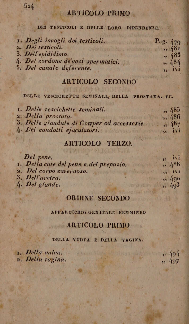 524 po w. fo nati ARTICOLO PRIMO . i DEI TESTICOLI E DELLE ' LORO DIPENDENZE; » 1: Degli invogli dei testicoli. Pag: 479 | 2. Dei testicoli. «00481 | 3. Dell'epididimo. s 483 4. Del cordone de'vasi ispermatici, 30484 5. Del canale deferente. cato ar DE ARTICOLO SECONDO DELLE VESCICHETTE SEMINALI, DELLA PROSTATA, EC. 1. Delle vescichette seminali. | a 485 2. Della prostata. | 199 486 3. Delle glaudule di Cowper od accessorie i 41487 4. Lei condotti ejaculatori. da i ARTICOLO TERZO. © Del pene, o PARMA 1. Della cute del pene e. del prepuzio. + 488 2. Del corpo cavernoso. i su vi _3. Dell'uretra. ; s 490 ui ORDINE SECONDO ARTICOLO PRIMO: Ù - DELLA VULKA E DELLA VAGINA. 1. Della vulva. i sl 404 2. Della vagina. ML “ia 33497 * N ) ate =