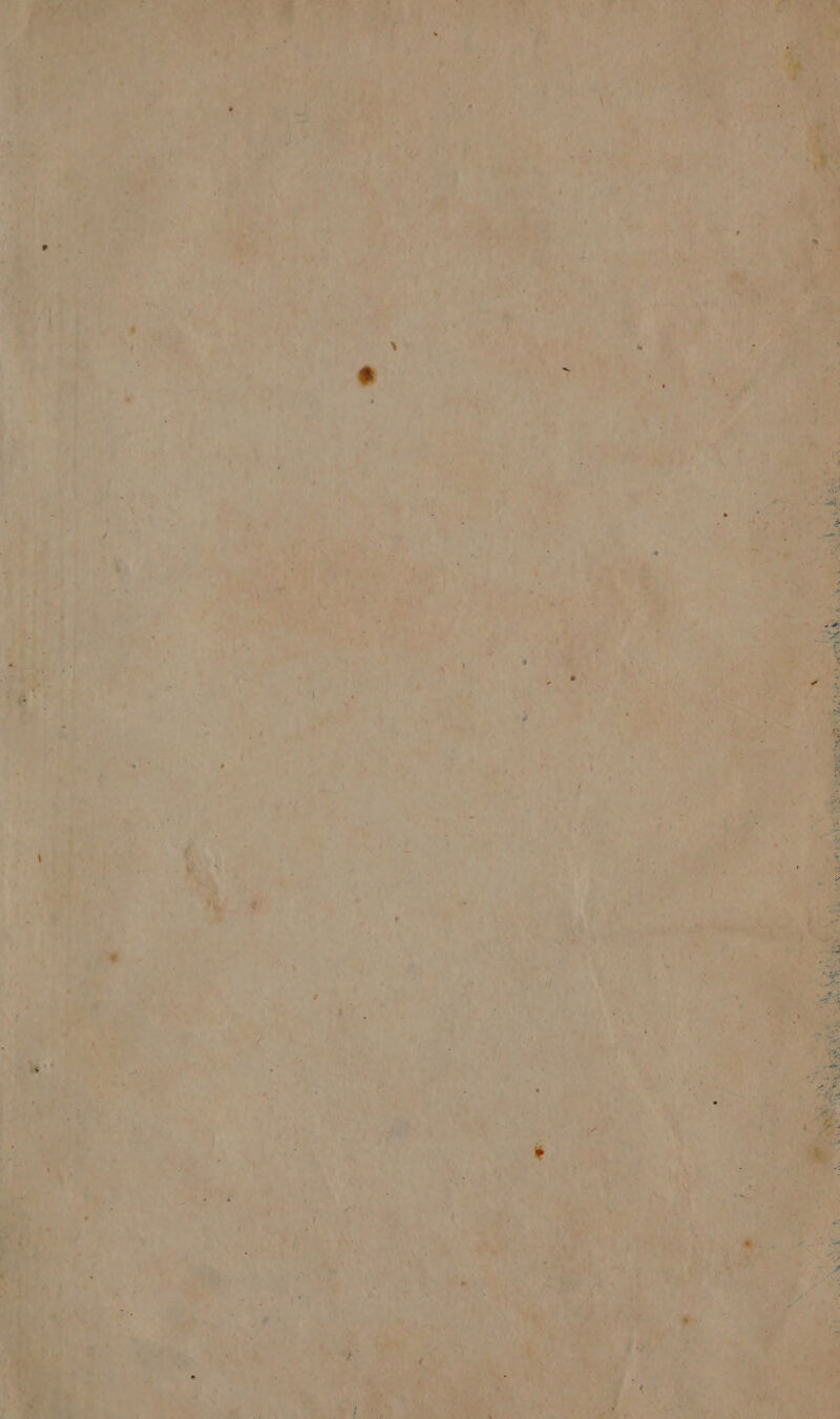 $&amp; Put Lera PA pa all