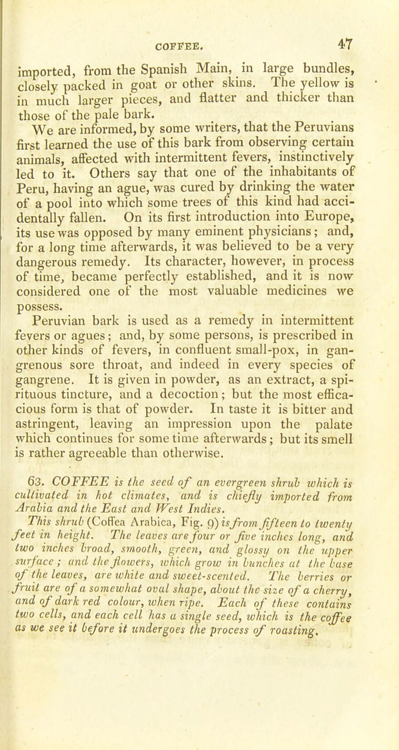 imported, from the Spanish Main, in large bundles, closely packed in goat or other skins. The yellow is in much larger pieces, and flatter and thicker than those of the pale bark. We are informed, by some writers, that the Peruvians first learned the use of this bark from observing certain animals, affected with intermittent fevers, instinctively led to it. Others say that one of the inhabitants of Peru, having an ague, was cured by drinking the water of a pool into which some trees of this kind had acci- dentally fallen. On its first introduction into Europe, its use was opposed by many eminent physicians; and, for a long time afterwards, it was believed to be a very dangerous remedy. Its character, however, in process of time, became perfectly established, and it is now considered one of the most valuable medicines we possess. Peruvian bark is used as a remedy in intermittent fevers or agues; and, by some persons, is prescribed in other kinds of fevers, in confluent small-pox, in gan- grenous sore throat, and indeed in every species of gangrene. It is given in powder, as an extract, a spi- rituous tincture, and a decoction; but the most effica- cious form is that of powder. In taste it is bitter and astringent, leaving an impression upon the palate which continues for some time afterwards; but its smell is rather agreeable than otherwise. 63. COFFEE is the seed of an evergreen shrub which is cultivated in hot climates, and is chiefly imported from Arabia and the East and West Indies. This shrub (Cofl'ea Arabica, Fig. Q) isfrom fifteen to twenty feet in height. The leaves are four or five inches long, and two inches broad, smooth, green, and glossy on the upper surface ; and the flowers, which grow in bunches at the base of the leaves, are white and sweet-scented. The berries or fruit are of a somewhat oval shape, about the size of a cherry, and of dark red colour, when ripe. Each of these contains two cells, and each cell has a single seed, which is the coffee as we see it before it undergoes the process of roasting.