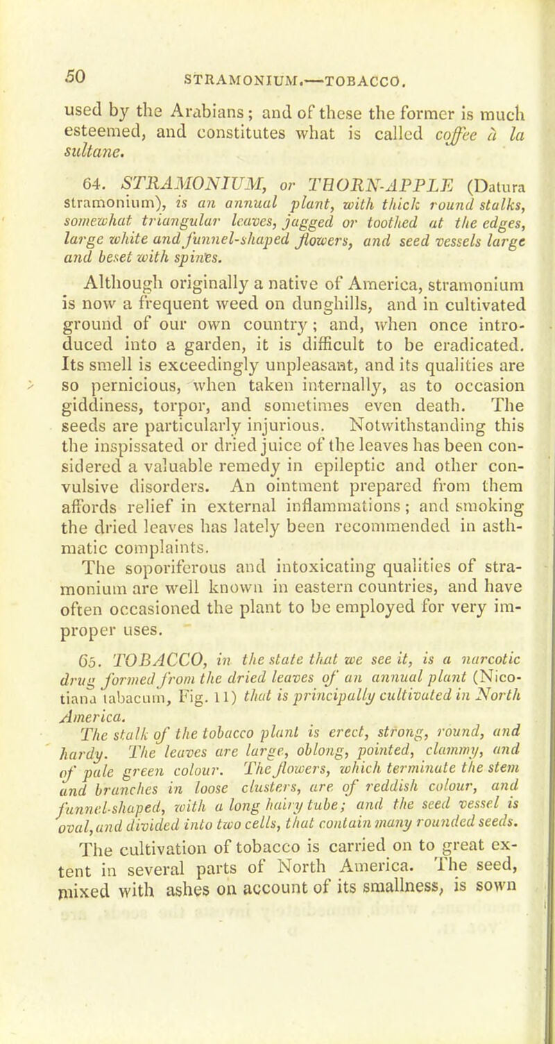 STRAMONIUM.—TOBACCO. used by the Arabians ; and of these the former is much esteemed, and constitutes what is called coffee a la sultane. 64. STRAMONIUM, or THORN-APPLE (Datura stramonium), is an annual plant, with thick round stalks, somewhat triangular leaves, jagged or toothed at the edges, large white and funnel-shaped flowers, and seed vessels large and beset with sphies. Although originally a native of America, stramonium is now a frequent weed on dunghills, and in cultivated ground of our own country; and, when once intro- duced into a garden, it is difficult to be eradicated. Its smell is exceedingly unpleasant, and its qualities are so pernicious, when taken internally, as to occasion giddiness, torpor, and sometimes even death. The seeds are particularly injurious. Notwithstanding this the inspissated or dried juice of the leaves has been con- sidered a valuable remedy in epileptic and other con- vulsive disorders. An ointment prepared from them affords relief in external inflammations; and smoking the dried leaves has lately been recommended in asth- matic complaints. The soporiferous and intoxicating qualities of stra- monium are well known in eastern countries, and have often occasioned the plant to be employed for very im- proper uses. Co. TOBACCO, in the state that we see it, is a narcotic drug formed from the dried leaves of an annual plant (Nico- tian j labacum, Fig. 11) that is principally cultivated in North America. The stalk of the tobacco plant is erect, strong, round, and hardy. The leaves are large, oblong, pointed, clammy, and of pale green colour. The flowers, which terminute the stem and branches in loose clusters, are of reddish colour, and funnel-shaped, zvith a long hairy tube; and the seed vessel is oval, and divided into two cells, that contain many rounded seeds. The cultivation of tobacco is carried on to great ex- tent in several parts of North America. The seed, mixed with ashes on account of its smallness, is sown