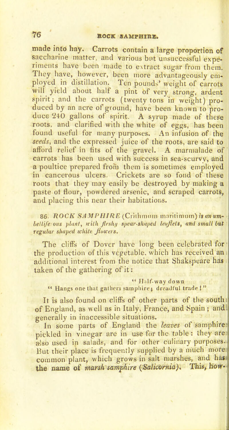 ROCK SAMPHIRE. made into hay. Carrots contain a large proportion of saccharine matter, and various but unsuccessful expe- riments have been made to e^ract sugar from them. They 1 lave, however, been more advantageously em- ployed in distillation. Ten pounds' weight of carrots will yield about half a pint of very strong, ardent spirit; and the carrots (twenty tons in weight) pro- duced by an acre of ground, have been known to pro- duce 240 gallons of spirit. A syrup made of these roots, and clarified with the white of eggs, has been found useful for many purposes. An infusion of the seeds, and the expressed juice of the roots, are said to afford relief in fits of the gravel. A marmalade of carrots has been used with success in sea-scurvv, and a poultice prepared from them is sometimes employed in cancerous ulcers. Crickets are so fond of these roots that they may easily be destroyed by making a paste ot flour, powdered arsenic, and scraped carrots, and placing this near their habitations. 86. ROCK SAMPHIRE (Criihmmn maritimum) is an urn- bellife: ous plant, with fleshy spear-shaped leujiels, and small but regular shaped white Jiuwei s. The cliffs of Dover have long been celebrated for the production of this vegetable, which has received an additional interest from the notice that Shakspeare has taken of the gathering of it:  Fin If-way down  Hangs one that gathers samphire; dmiilful trade !  It is also found on cliffs of other parts of the south! of England, as well as in Italy, France, and Spain ; and generally in inaccessible situations. In some parts of England the leaves of samphire, pickled in vinegar are in use for the table: they are a-!so used in salads, and for other culinary purposes. But their place is frequently supplied by a much more common plant, which grows in salt marshes, and has> the name of marsh samphire {Salicornia). This, hoty-