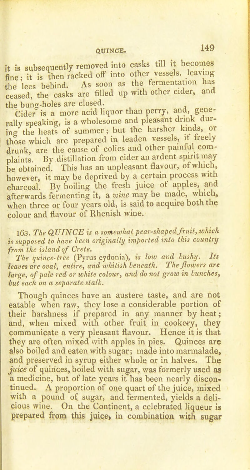 QUINCE. it is subsequently removed into casks till it becomes fine - it is then racked off into other vessels, leaving the lees behind. As soon as the fermentation has ceased, the casks are filled up with other cider, and the bung-holes are closed. Cider is a more acid liquor than perry, and, gene- rally speaking, is a wholesome and pleasant drink dur- ing the heats of summer; but the harsher kinds, or those which are prepared in leaden vessels, it treely drunk, are the cause of colics and other paintul com- plaints. By distillation from cider an ardent spirit may be obtained. This has an unpleasant flavour, of which, however, it may be deprived by a certain process with charcoal. By boiling the fresh juice of apples, and afterwards fermenting it, a wine may be made, which, when three or four years old, is said to acquire both the colour and flavour of Rhenish wine. 163. The QUINCE is a somewhat pear-shapedfmil, which is supposed to have Leen originally imported into this country from the island of Crete. The quince-tree (Pyrus cydonia), is low and bushy. Its leaves are oval, entire, and whitish beneath. The flowers are large, of pule red or white colour, and do not grow in bunches, but each on a separate stalk. Though quinces have an austere taste, and are not eatable when raw, they lose a considerable portion of their harshness if prepared in any manner by heat; and, when mixed with other fruit in cooke-ry, they communicate a very pleasant flavour. Hence it is that they are often mixed with apples in pies. Quinces are also boiled and eaten with sugar; made into marmalade, and preserved in syrup either whole or in halves. The juice of quinces, boiled with sugar, was formerly used as a medicine, but of late years it has been nearly discon- tinued. A proportion of one quart of the juice, mixed with a pound of sugar, and fermented, yields a deli- cious wine. On the Continent, a celebrated liqueur is prepared from this juice, in combination with sugar