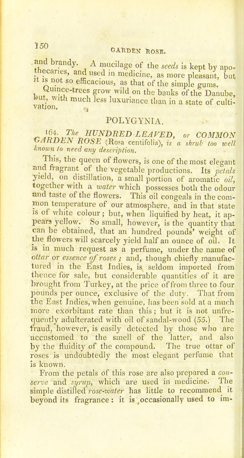 1 50 OAhDEN ItOSE. and brandy. A mucilage of the seeds is kept by apo- thecanes, and used in medicine, as more pleasant, but n is not so efficacious, as that of the simple gums. yuince-trees grow wild on the banks of the Danube, But, with much less luxuriance than in a state of culti- vation. POLYGYNIA. + -}&>J&*- HUNDRED LEAFED, or COMMON GARDEN ROSE (Rosa centifolia), is a shnd> loo well known to need any description. This, the queen of flowers, is one of the most elegant and fragrant of the vegetable productions. Its petals yield, on distillation, a small portion of aromatic oil, together with a ivater which possesses both the odour and taste of the flowers. This oil congeals in the com- mon temperature of our atmosphere, and in that state is of white colour; but, when liquified by heat, it ap- pears yellow. So small, however, is the quantity that can be obtained, that an hundred pounds' weight of the flowers will scarcely yield half an ounce of oil. It is in much request as a perfume, under the name of ottar or essence of roses ; and, though chiefly manufac- tured in the East Indies, is seldom imported from thence for sale, but considerable quantities of it are brought from Turkey, at the price of from three to four pounds per ounce, exclusive of the duty. That from the East Indies, when genuine, has been sold at a much more exorbitant rate than this; but it is not unfre- quently adulterated with oil of sandal-wood (55.) The fraud, however, is easily detected by those who are accustomed to the smell of the latter, and also by the fluidity of the compound. The true ottar of roses is undoubtedly the most elegant perfume that is known. From the petals of this rose are also prepared a con- serve and syru-p, which are used in medicine. The simple distilled rose-xmter has little to recommend it beyond its fragrance: it is ^occasionally used to im-