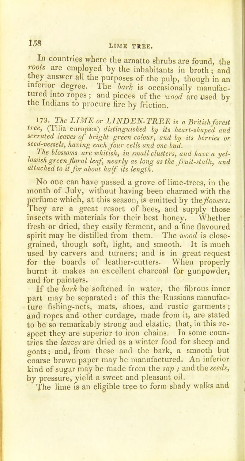 LIME T*EE. In countries where the arnatto shrubs are found, the roots are employed by the inhabitants in broth ; and they answer all the purposes of the pulp, though in an inferior degree. The bark is occasionally manufac- tured into ropes ; and pieces of the wood are used by the Indians to procure fire hy friction. 173. The LIME or LINDEN-TREE is a British forest tree, (Tilia enropsea) distinguished by its heart-shaped and serrated leaves of bright green colour, and by its berries or seed-vessels, having each four cells and one bud. The blossoms are whitish, in small clusters, and have a yel- lowish green floral leaf, nearly as long as the fruit-stalk, and attached to it for about half its length. No one can have passed a grove of lime-trees, in the month of July, without having been charmed with the perfume which, at this season, is emitted by thejl-owers. They are a great resort of bees, and supply those insects with materials for their best honey. Whether fresh or dried, they easily ferment, and a fine flavoured spirit may be distilled from them. The tvood is close- grained, though soft, light, and smooth. It is much used by carvers and turners; and is in great request for the boards of leather-cutters. When properly burnt it makes an excellent charcoal for gunpowder, and for painters. If the dark be softened in water, the fibrous inner part may be separated: of this the Russians manufac- ture fishing-nets, mats, shoes, and rustic garments; and ropes and other cordage, made from it, are stated to be so remarkably strong and elastic, that, in this re- spect they are superior to iron chains. In some coun- tries the leaves are dried as a winter food for sheep and goats; and, from these and the bark, a smooth but coarse brown paper may be manufactured. An inferior kind of sugar may be made from the sap ; and the seeds, by pressure, yield a sweet and pleasant oil. The lime is an eligible tree to form shady walks and