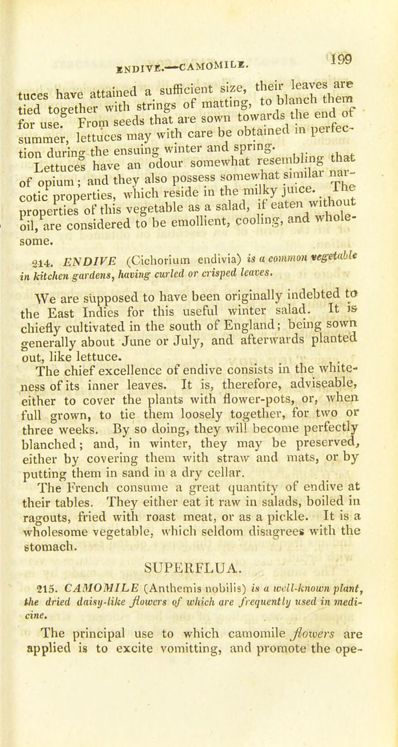 100 KNDIVE.—CAMOMILE. tuces have attained a. sufficient size ^ £ tied together with strings of matting, to blancn tnem foi u eg From seeds tha&t are sown towards the end of fummer, lettuces may with care be obtained in perfec tion during the ensuing winter and spring. Lettuces have an odour somewhat resembling tha of opium ; and they also possess somewhat similar nai cotic properties, which reside in the milky J^e; f he properties of this vegetable as a salad, ^^/^ oil, are considered to be emollient, cooling, and whole some. 214. ENDIVE (Cichorium endivia) is a common vegetable in kitchen gardens, having curled or crisped leaves. We are supposed to have been originally indebted to the East Indies for this useful winter salad. It is chiefly cultivated in the south of England; being sown generally about June or July, and afterwards planted out, like lettuce. The chief excellence of endive consists in the white- ness of its inner leaves. It is, therefore, adviseable, either to cover the plants with flower-pots, or, when full grown, to tie them loosely together, for two or three weeks. By so doing, they will become perfectly blanched; and, in winter, they may be preserved, either by covering them with straw and mats, or by putting them in sand in a dry cellar. The French consume a great quantity of endive at their tables. They either eat it raw in salads, boiled in ragouts, fried with roast meat, or as a pickle. It is a wholesome vegetable, which seldom disagrees with the stomach. SUPERFLUA. 215. CAMOMILE (Anthemis nobilis) is a well-known plant, the dried daisy-like flowers of which are frequently used in medi- cine. The principal use to which camomile flovoers are applied is to excite vomitting, and promote the ope-