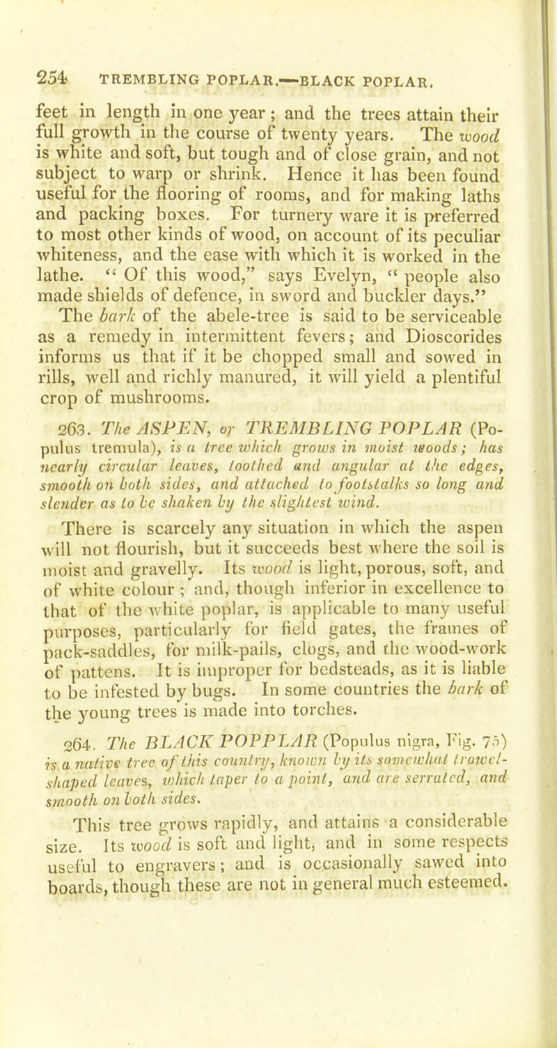 254; TREMBLING POPLAR.—BLACK POPLAR. feet in length in one year; and the trees attain their full growth in the course of twenty years. The wood is white and soft, but tough and of close grain, and not subject to warp or shrink. Hence it has been found useful for the flooring of rooms, and for making laths and packing boxes. For turnery ware it is preferred to most other kinds of wood, on account of its peculiar whiteness, and the ease with which it is worked in the lathe.  Of this wood, says Evelyn,  people also made shields of defence, in sword and buckler days. The bark of the abele-tree is said to be serviceable as a remedy in intermittent fevers; and Dioscorides informs us that if it be chopped small and sowed in rills, well and richly manured, it will yield a plentiful crop of mushrooms. 263. The ASPEN, or TREMBLING POPLAR (Po- pulus tremula), is a tree which grows in moist woods; has nearly circular leaves, toothed and angular at the edges, smooth on both sides, and attached to footstalks so long and slender as to be shaken by the slightest wind. There is scarcely any situation in which the aspen will not flourish, but it succeeds best where the soil is moist and gravelly. Its wood is light, porous, soft, and of white colour ; and, though inferior in excellence to that of the white poplar, is applicable to many useful purposes, particularly for field gates, the frames of pack-saddles, for milk-pails, clogs, and the wood-work of pattens. It is improper for bedsteads, as it is liable to be infested by bugs. In some countries the bark of the young trees is made into torches. 26'4. The BLACK POPPLAR (Populus nigra, Fig. 75) is a native tree of this country, known by its somewhat trowcl- shaped leaves, which taper to a point, and are serrated, and smooth on both sides. This tree grows rapidly, and attains a considerable size. Its wood is soft and light, and in some respects useful to engravers; and is occasionally sawed into boards, though these are not in general much esteemed.