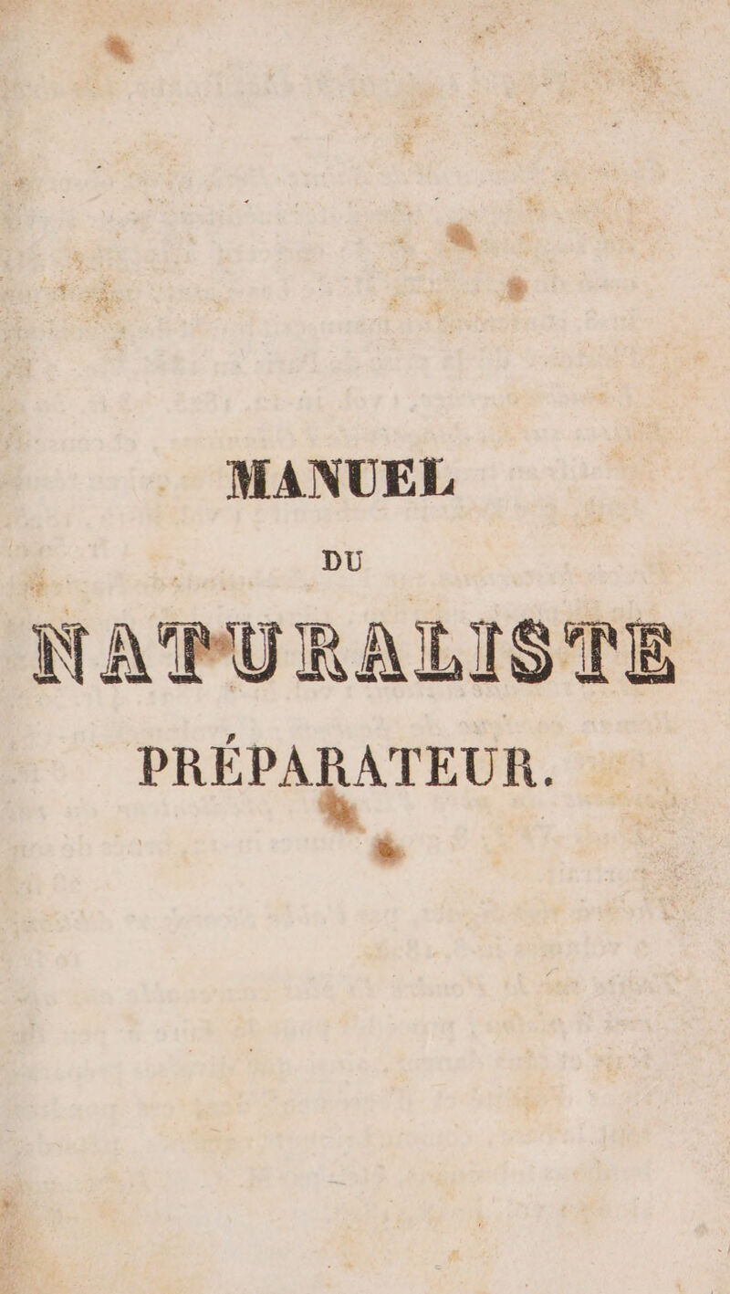 NATURALISTE PRÉPARATEUR.