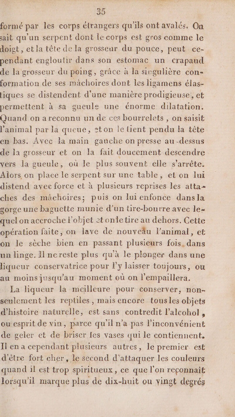 30 formé par les corps étrangers qu'ils ont avalés. On sait qu'un serpent dont le corps est gros comme le doigt , et la tête de la grosseur du pouce, peut ce- pendant engloutir dans son estomac un crapaud de la grosseur du peing, grâce à la sirgulière con- formation de ses machoires dont les ligamens élas- tiques se distendent d’une manière prodigieuse, et permettent à sa gueule une énorme dilatation. Quand on a reconnu un de ces bourrelets , on saisit l'animal par la queue, ton le tient pendu la tête em bas. Avec la main gauche on presse au-dessus de la grosseur et on la fait doucement descendre vers la gueule, où le plus souvent elle s'arrête. Aiors on place le serpent sur une table, et on lui distend avec force et à plusieurs reprises les atta= ches des mâchoires; puis on lui enfonce dansla gorge une baguette munie d’un tire-bourre avec le- quel on accroche l’objet 2tonietire au dehors. Cette opération faite, on lave de nouveäu l'animal, et on le sèche bien en passant plusieurs fois, dans un linge. Il nereste plus qu'à le plonger dans une liqueur conservatrice pour l'y laisser toujours, ou au moins jusqu'au moment où on l'empaillera. La liqueur la meilleure pour conserver, non- seulement les reptiles, mais encore tousles objets d'histoire naturelle, est sans contredit l’alcohol , ou esprit de vin, parce qu'il n’a pas l'inconvénient de geler et de briser [es vases qui le contiennent, Il en a cependant plusieurs autres, le premier. est d'être fort cher, le second d'attaquer les couleurs quand il est trop spiritueux, ce que l’on reconnaît lorsqu'il marque plus de dix-huit ou vingt degrés