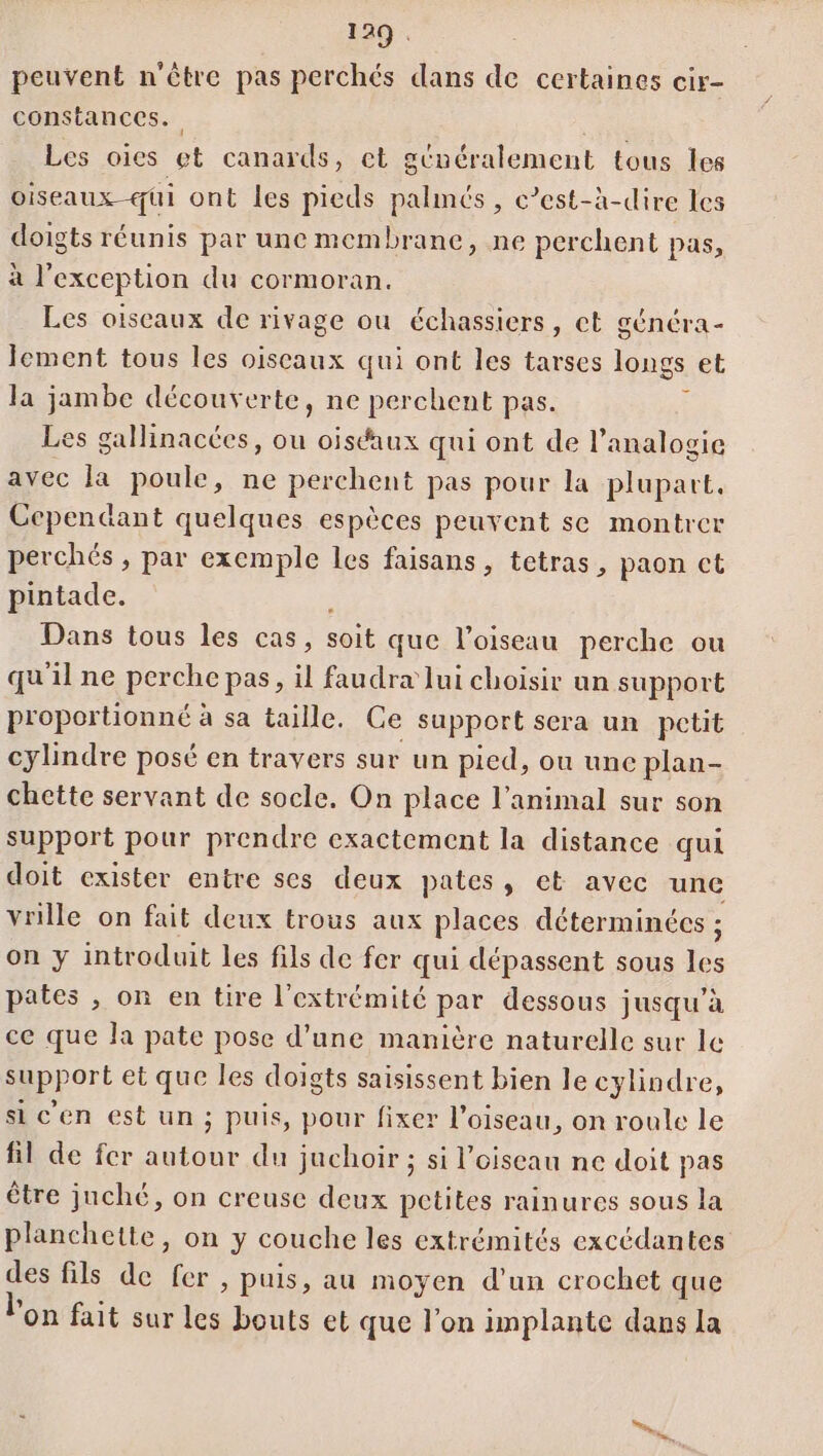 peuvent n'être pas perchés dans de certaines cir- constances.. Les oies et canards, ct généralement tous les oiseaux qui ont les pieds palmés , c’est-à-dire les doigts réunis par une membrane, ne perchent pas, à l'exception du cormoran. Les oiseaux de rivage ou échassiers, et généra- Jcment tous les oiscaux qui ont les tarses longs et la jambe découverte, ne perchent pas. È Les gallinacées, ou oiséaux qui ont de l’analogie avec la poule, ne perchent pas pour la plupart, Cependant quelques espèces peuvent se montrer perchés , par exemple les faisans, tetras, paon ct pintade. Dans tous les cas, Soit que l'oiseau perche ou qu'il ne perche pas, il faudra Jui choisir un support proportionné à sa taille. Ce support sera un petit cylindre posé en travers sur un pied, ou une plan- chette servant de socle. On place l'animal sur son support pour prendre exactement la distance qui doit exister entre ses deux pates, et avec une vrille on fait deux trous aux places déterminées ; on y introduit les fils de fer qui dépassent sous 16e pates , on en tire l'extrémité par dessous jusqu'à ce que la pate pose d’une manière naturelle sur le support et que les doigts saisissent bien le cylindre, si c'en est un ; puis, pour fixer l'oiseau, on roule le fil de fer Ré du juchoir ; si l'oiseau ne doit pas être jnché, on creuse deux petites rainures sous la planchette, on y couche les extrémités excédantes des fils de fer , puis, au moyen d’un crochet que lon fait sur les bouts et que l’on implante dans la