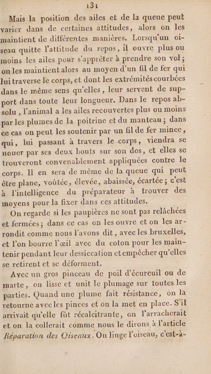 SE Mais la position des ailes et de la queue peut varier dans de certaines attitudes, alors on les maintient de différentes manières. Lorsqu'un oi- seau quitte l'attitude du repos, il ouvre plus ou moins les ailes pour s’apprêter à prendre son vol; on les maintient alors au moyen d’un fil de fer qui lui traverse le corps, et dont les extrémités courbées dans le même sens qu’elles, leur servent de sup- port dans toute leur longueur. Dans le repos ab- solu , l'animal a les ailes recouvertes plus ou moins par les plumes de la poitrine ct du manteau; dans ce cas on peut les soutenir par un fil de fer mince, qui, lui passant à travers Île corps, viendra se nouer par ses deux bouts sur son dos, et elles se trouveront convenablement appliquées contre le corps. Il en sera de même de la queue qui peut être plane, voutée, élevée, abaissée, écartée ; c’est à l'intelligence du préparateur à trouver des moyens pour la fixer dans ces attitudes. On regarde si les paupières ne sont pas relàchées et fermées; dans ce cas on les ouvre et on les ar- rondit comme nous l'avons dit, avec les bruxelles, et l’on bourre l'œil avec du coton pour les main- tenir pendant leur dessiccation et empêcher qu’elles se retirent et se déforment. Avec un gros pinceau de poil d'écureuil ou de marte, on lisse et unit le plumage sur toutes les parties. Quand une plume fait résistance, on la retourne avec les pinces et on la met en place. S'il arrivait qu'elle füt récalcitrante, on l’arracherait et on la collerait comme nous le dirons à l’article Réparation des Oiseaux. On linge l'oiseau, c’est-à-