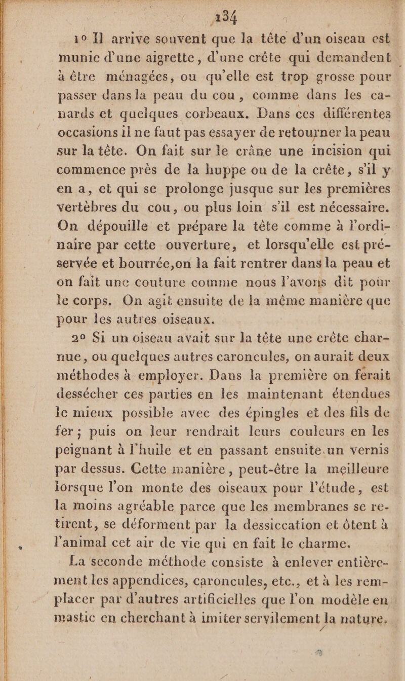 A4 10 1] arrive souvent que la tête d’un oiseau est munie d'une aigrette, d’une crête qui demandent à être ménagées, ou qu'elle est trop grosse pour passer dans la peau du cou, comme dans les ca- nards et quelques corbeaux. Dans ces différentes occasions il ne faut pas essayer de retourner la peau sur la tête. On fait sur le crâne une incision qui commence près de la huppe ou de la crête, s'il y en a, et qui se prolonge jusque sur les premières vertèbres du cou, ou plus loin s'il est nécessaire. On dépouille et prépare la tête comme à l'ordi- naire par cette ouverture, et lorsqu'elle est pré- servée et bourrée,on la fait rentrer dans la peau et on fait une couture comme nous l'avons dit pour le corps. On agit ensuite de la même manière que pour les autres oiseaux. 20 Si un oiseau avait sur la tête une crête char- nue, ou quelques autres caroncules, on aurait deux méthodes à employer. Daus la première on ferait dessécher ces parties en les maintenant étendues le mieux possible avec des épingles et des fils de fer; puis on leur rendrait leurs couleurs en les | peignant à l'huile et en passant ensuite .un vernis par dessus. Cette manière, peut-être la meilleure lorsque l’on monte des oiseaux pour l'étude, est la moins agréable parce que les membranes se re- tirent, se déforment par la dessiccation et Ôtent à l'animal cet air de vie qui en fait le charme. La seconde méthode consiste à enlever entière- ment les appendices, caroncules, ete., et à les rem- placer par d’autres artificielles que l’on modèle en mastic en cherchant à imiter servilement Ja nature, #)