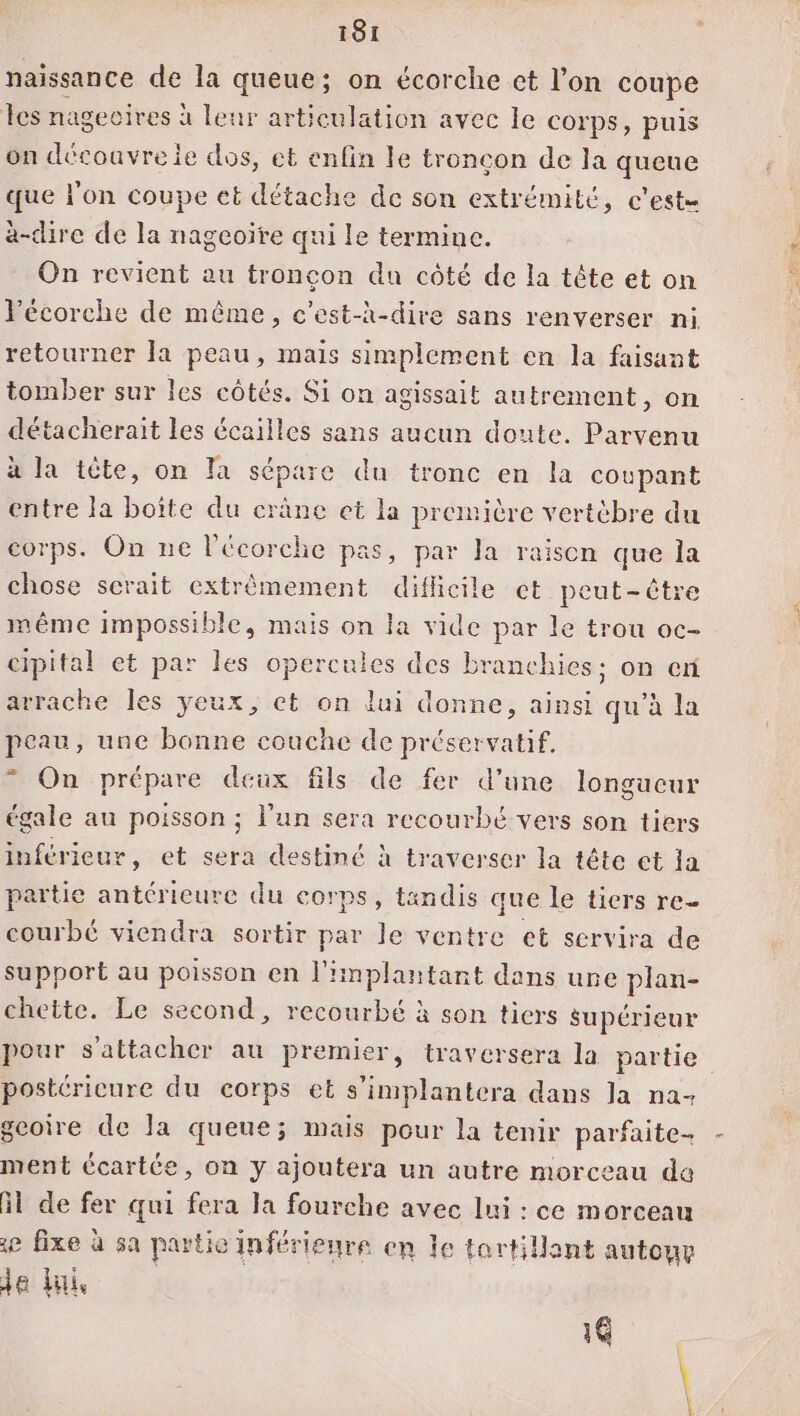 naissance de la queue; on écorche cet l'on coupe les nageoires à leur articulation avec le corps, puis on découvre ie dos, et enfin le troncon de la gone que l'on coupe et détache de son extrémité, c'este à-dire de la nagcoïre qui le termine. On revient au tronçon du côté de la tête et on l'écorche de même, c’est-k-dire sans renverser ni retourner Ja peau, mais simplement en la faisant tomber sur les côtés. Si on agissait autrement, on détacherait les écailles sans aucun doute. Parvenu à la tête, on la sépare du tronc en la coupant entre la boîte du crâne et la première vertébre du corps. On ne l'écorche pas, par la raison que la chose scrait extrêmement difficile et peut-être même impossible, mais on la vide par le trou oc- cipital et par les opercules des branchies: on ent arrache les yeux, ct on lui donne, ainsi qu'à la peau, une bonne couche de préservatif. On prépare deux fils de fer d’une longucur égale au poisson ; l’un sera recourbé vers son tiers inférieur, et sera destiné à traverser la tête et la partie antérieure du corps, tandis que le tiers re- courbé viendra sortir par le ventre et servira de support au poisson en l'implantant dans une plan- chette. Le second, recourbé à son tiers supérieur postéricure du corps et s’implantera dans la na- geoire de Ja queue; mais pour la tenir parfaite- ment écartée, on y ajoutera un autre morceau de il de fer qui fera Ja fourche avec lui : ce morceau e fixe à 5a partie inférieure en le tortillant autouv Je lui 16 RE |