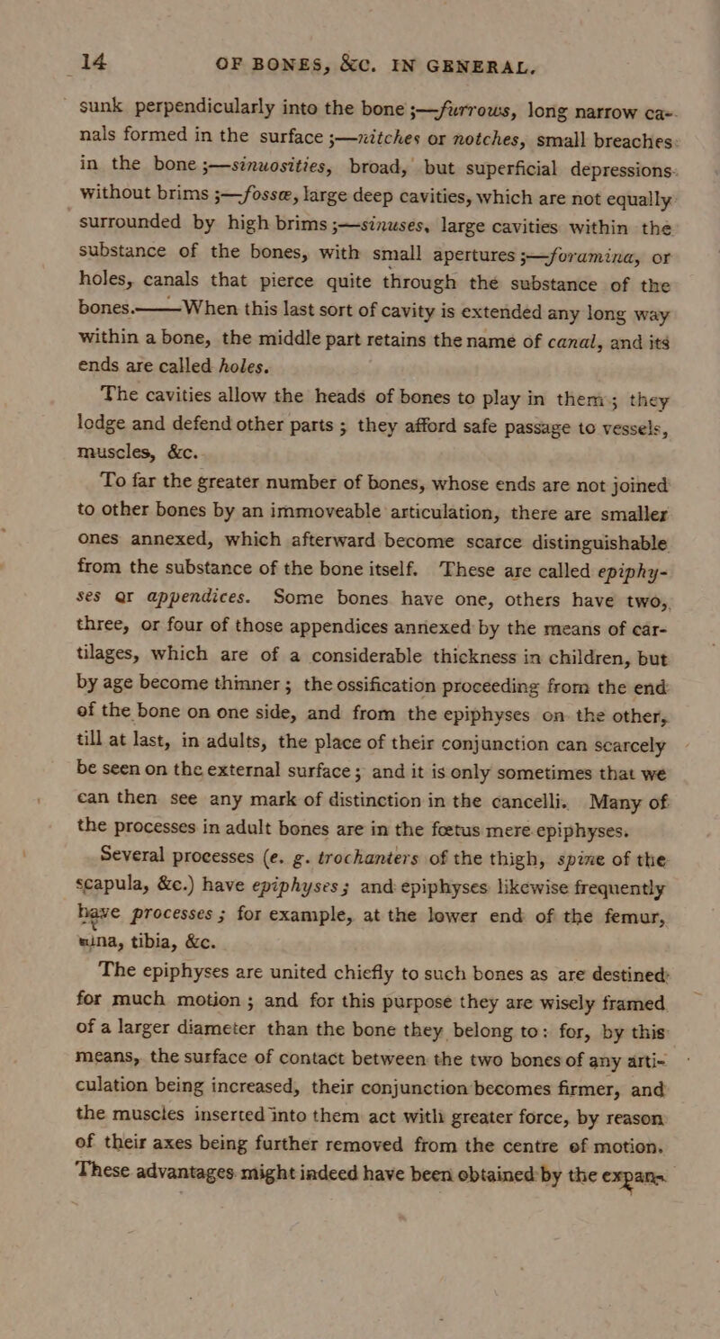 _ Sunk perpendicularly into the bone ;—fwrrows, long narrow ca-- nals formed in the surface 3—ttches or notches, small breaches: in the bone ;—sinwosities, broad, but superficial depressions: without brims ;—fosse, large deep cavities, which are not equally surrounded by high brims ;—sinuses, large cavities within the substance of the bones, with small apertures ;—foramina, or holes, canals that pierce quite through the substance of the bones.—— When this last sort of cavity is extended any long way within a bone, the middle part retains the name of canal, and its ends are called holes. The cavities allow the heads of bones to play in them; they lodge and defend other parts ; they afford safe passage to vessels y muscles, &amp;c. To far the greater number of bones, whose ends are not joined to other bones by an immoveable articulation, there are smaller ones annexed, which afterward become scarce distinguishable from the substance of the bone itself. These are called epiphy- ses gr appendices. Some bones have one, others have two, three, or four of those appendices annexed by the means of car- tilages, which are of a considerable thickness in children, but by age become thinner; the ossification proceeding from the end: of the bone on one side, and from the epiphyses on. the other, till at last, in adults, the place of their conjunction can searcely be seen on the external surface; and it is only sometimes that we ean then see any mark of distinction in the cancelli.. Many of the processes in adult bones are in the foetus mere. epiphyses. Several processes (e. g. trochanters of the thigh, spine of the scapula, &amp;c.) have epiphyses ; and epiphyses likewise frequently have processes ; for example, at the lower end of the femur, mina, tibia, &amp;c. The epiphyses are united chiefly to such bones as are destined: for much motion ; and for this purpose they are wisely framed. of a larger diameter than the bone they belong to: for, by this: means, the surface of contact between the two bones of any alti- culation being increased, their conjunction becomes firmer, and the muscles inserted into them act with greater force, by reason of their axes being further removed from the centre ef motion. These advantages might indeed have been obtained: by the expann