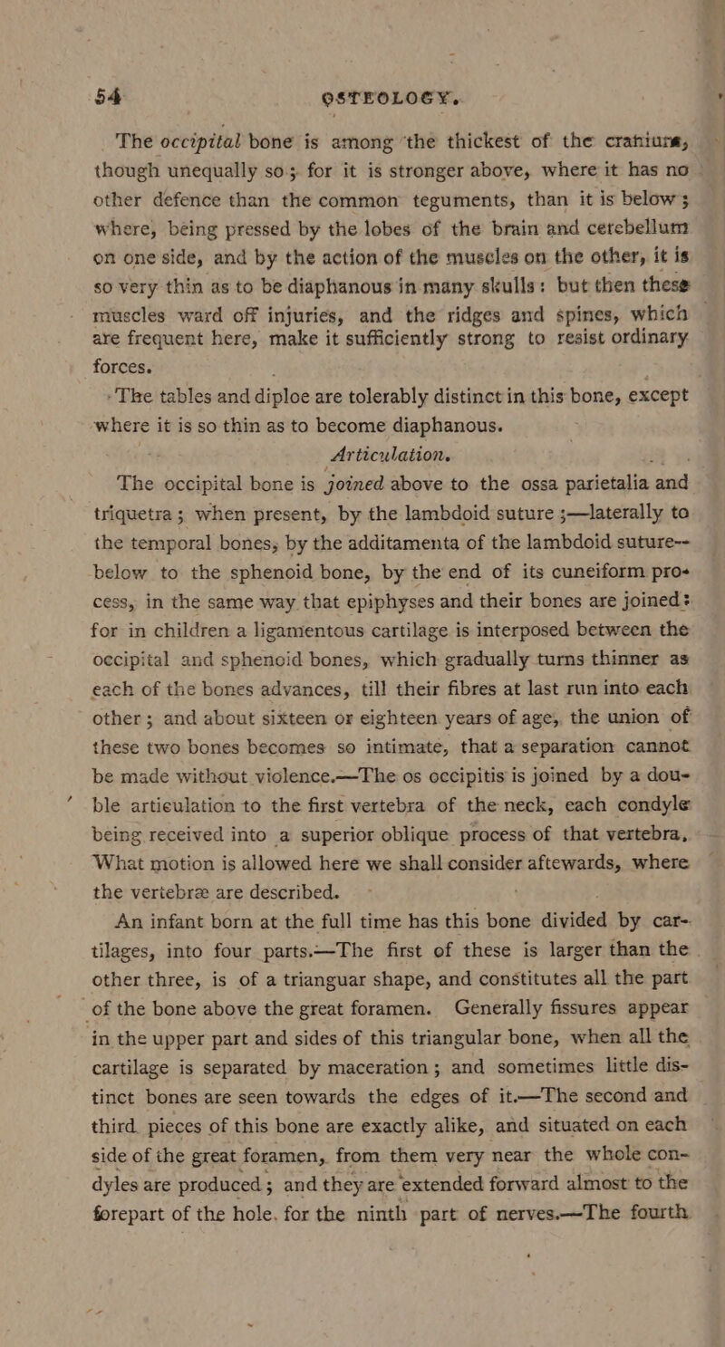The occipital bone is among ‘the thickest of the crahiure, though unequally so. for it is stronger above, where it has no — other defence than the common teguments, than it is below; where, being pressed by the lobes of the brain and cerebellum on one side, and by the action of the muscles on the other, it is so very thin as to be diaphanous in many skulls: but then these muscles ward off injuries, and the ridges and spines, which are frequent here, make it sufficiently strong to resist ordinary forces. The tables and diploe are tolerably distinct in this bone, except where it is so thin as to become diaphanous. Articulation. The occipital bone is joined above to the ossa satenite sia triquetra ; when present, by the lambdoid suture ;—laterally to the temporal bones; by the additamenta of the lambdoid suture-- below to the sphenoid bone, by the end of its cuneiform pro cess, in the same way that epiphyses and their bones are joined? for in children a ligamentous cartilage is interposed between the occipital and sphencid bones, which gradually turns thinner as each of the bones advances, till their fibres at last run into each. other ; and about sixteen or eighteen years of age, the union of these two bones becomes so intimate, that a separation cannot be made without violence.—The os occipitis is joined by a dou- ble articulation to the first vertebra of the neck, each condyle being received into a superior oblique process of that vertebra, What motion is allowed here we shall consider aftewards, where the veriebre are described. An infant born at the full time has this bone divided by car-. tilages, into four parts.—The first of these is larger than the . other three, is of a trianguar shape, and constitutes all the part _of the bone above the great foramen. Generally fissures appear in the upper part and sides of this triangular bone, when all the cartilage is separated by maceration; and sometimes little dis- tinct bones are seen towards the edges of it-—The second and third. pieces of this bone are exactly alike, and situated on each side of the great foramen, from them very near the whole con~ dyles are produced ; and they are ‘extended forward almost to the forepart of the hole. for the ninth part of nerves.—The fourth