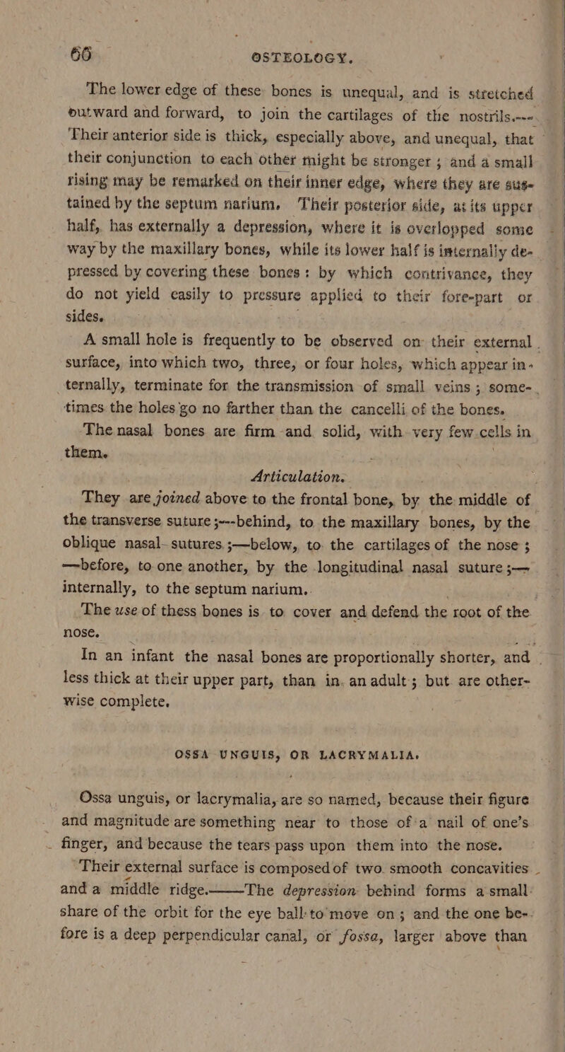 The lower edge of these bones is unequal, and is stretched sutward and forward, to join the cartilages of the nostrils.--- their conjunction to each other might be stronger ; and a small rising may be remarked on their inner edge, where they are suse tained by the septum narium, Their posterior side, a: its upper half, has externally a depression, where it is overlopped some way by the maxillary bones, while its lower half is internally de- pressed by covering these bones: by which contrivance, they do not yield easily to pressure applied to their fore-part or sides. surface, into which two, three, or four holes, which appear in- times the holes go no farther than the cancelli of the bones. The nasal bones are firm -and. solid, with very few cells i in them. Articulation. the transverse suture ;~--behind, to the maxillary bones, by the oblique nasal- sutures. ;—below, to. the cartilages of the nose ; before, to one another, by the longitudinal nasal suture ;— internally, to the septum narium.. nose. less thick at their upper part, than in. an adult; but. are other- wise complete. OSSA UNGUIS, OR LACRYMALIA, Ossa unguis, or lacrymalia, are so named, because their figure and magnitude are something near to those of’a nail of one’s . finger, and because the tears pass upon them into the nose. Their external surface is composed of two. smooth concavities anda middle ridge. The depression behind forms a small. fore is a deep perpendicular canal, or fossa, larger above than