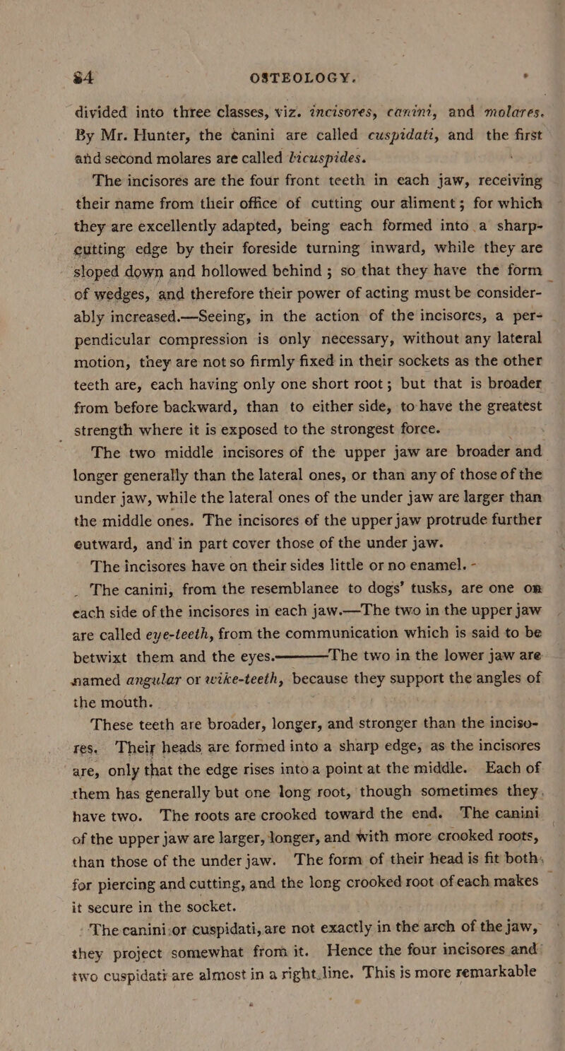 divided into three classes, viz. incisores, canini, and molares. By Mr. Hunter, the Canini are called cuspidatz, and the first atid second molares are called dicuspides. The incisores are the four front teeth in each jaw, receiving their name from their office of cutting our aliment; for which they are excellently adapted, being each formed into a sharp- cutting edge by their foreside turning inward, while they are sloped down and hollowed behind ; so that they have the form of wedges, and therefore their power of acting must be consider-_ ably increased.—Seeing, in the action of the incisores, a per- pendicular compression is only necessary, without any lateral motion, they are not so firmly fixed in their sockets as the other teeth are, each having only one short root; but that is broader from before backward, than to either side, to have the greatest strength where it is exposed to the strongest force. The two middle incisores of the upper jaw are broader and longer generally than the lateral ones, or than any of those of the under jaw, while the lateral ones of the under jaw are larger than the middle ones. The incisores of the upper jaw protrude further eutward, and in part cover those of the under jaw. The incisores have on their sides little or no enamel. - _ The canini, from the resemblanee to dogs’ tusks, are one om each side of the incisores in each jaw.—The two in the upper jaw are called eye-teeth, from the communication which is said to be betwixt them and the eyes. ‘The two in the lower jaw are named angular or wike-teeth, because they support the angles of the mouth. These teeth are broader, longer, and stronger than the inciso- res. Their heads are formed into a sharp edge, as the incisores are, only that the edge rises intoa point at the middle. Each of them has generally but one long root, though sometimes they. have two. The roots are crooked toward the end. The canini of the upper jaw are larger, longer, and with more crooked roots, than those of the under jaw. The form of their head is fit both, for piercing and cutting, and the long crooked root of each makes — it secure in the socket. The canini:or cuspidati, are not exactly in the arch of the jaw, they project somewhat from it. Hence the four incisores and’ two cuspidati-are almost in a right.line, This is more remarkable