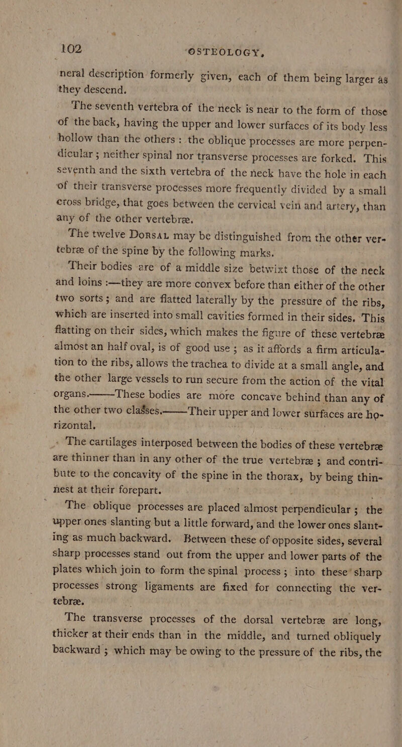neral description formerly given, each of them being larger as they descend. The seventh vertebra of the neck is near to the form of those of the back, having the upper and lower surfaces of its body less _ hollow than the others : the oblique processes are more perpen- dicular ; neither spinal nor transverse processes are forked. This seventh and the sixth vertebra of the neck have the hole in each of their transverse processes more frequently divided by a small etoss bridge, that goes between the cervical vein and artery, than any of the other vertebre. The twelve Dorsau may be distinguished from the other ver- tebree of the spine by the following marks. Their bodies are of a middle size betwixt those of the neck and loins :—they are more convex before than either of the other _ two sorts; and are flatted laterally by the pressure of the ribs, which are inserted into small cavities formed in their sides. ‘This flatting on their sides, which makes the figure of these vertebree almost an half oval, is of good use ; as it affords a firm articula- tion to the ribs, allows the trachea to divide at a small angle, and the other large vessels to run secure from the action of. the vital organs. These bodies are more concave behind than any of the other two clagses, Their upper and lower surfaces are ho- rizontal. Catia - The cartilages interposed between the bodies of these vertebrae are thinner than in any other of the true vertebra ; and contri- bute to the concavity of the spine in the thorax, by being thin- nest at their forepart. ue ; The oblique processes are placed almost perpendicular ; the upper ones slanting but a little forward, and the lower ones slant- ing as much backward. Between these of opposite sides, several sharp processes stand out from the upper and lower parts of the plates which join to form the spinal process ; into these’ sharp processes strong ligaments are fixed for connecting the ver- tebre. The transverse processes of the dorsal vertebrae are long, thicker at their ends than in the middle, and turned obliquely backward ; which may be owing to the pressure of the ribs, the